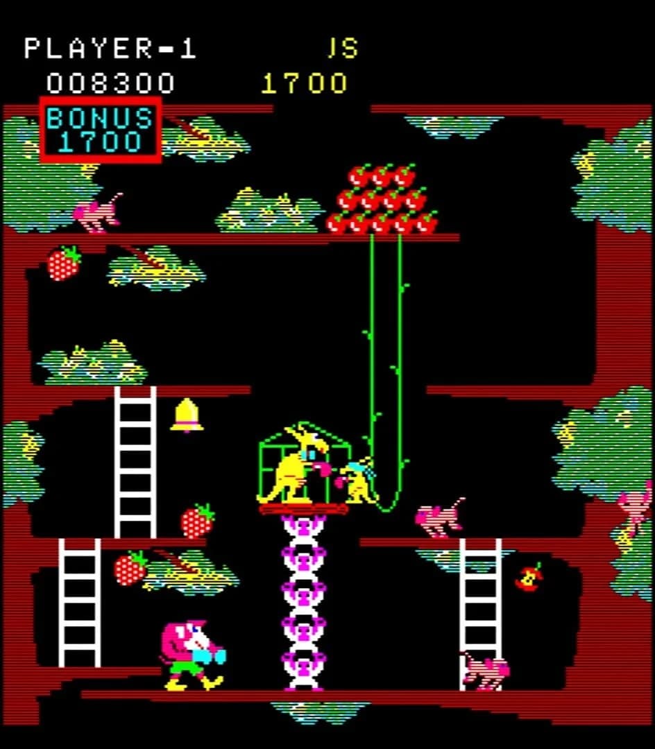 Kangaroo screenshot 3