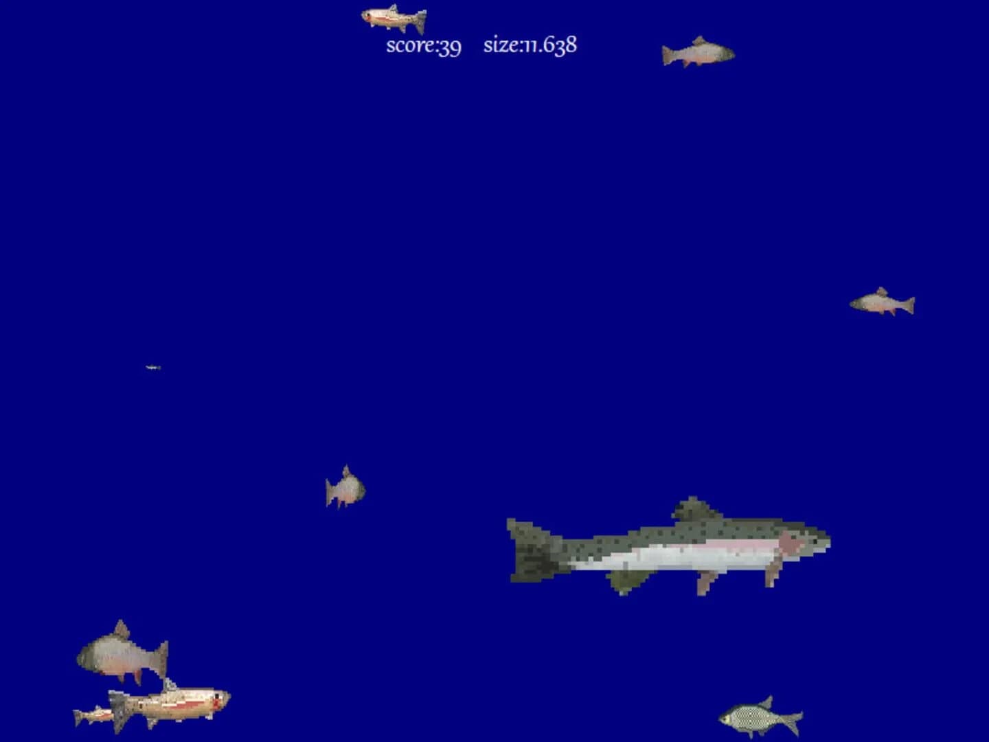 King of Water screenshot 5