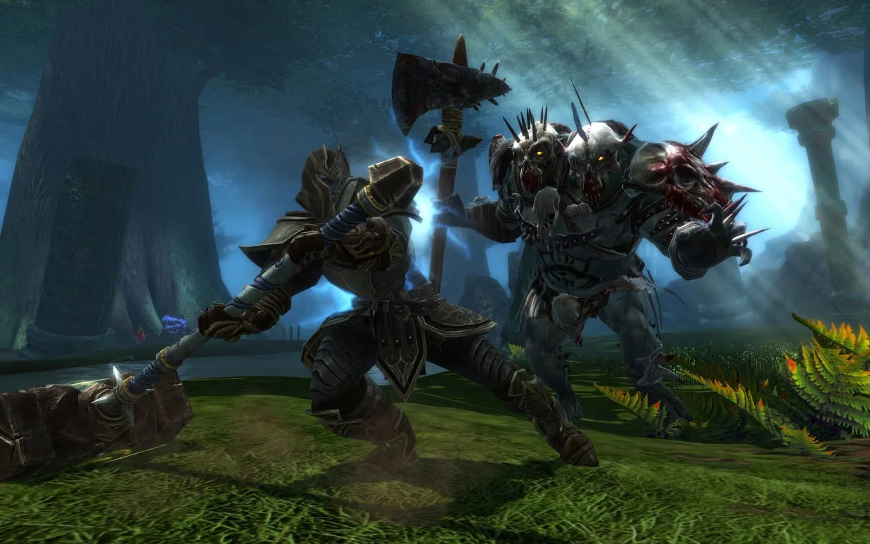Kingdoms of Amalur: Reckoning screenshot 3
