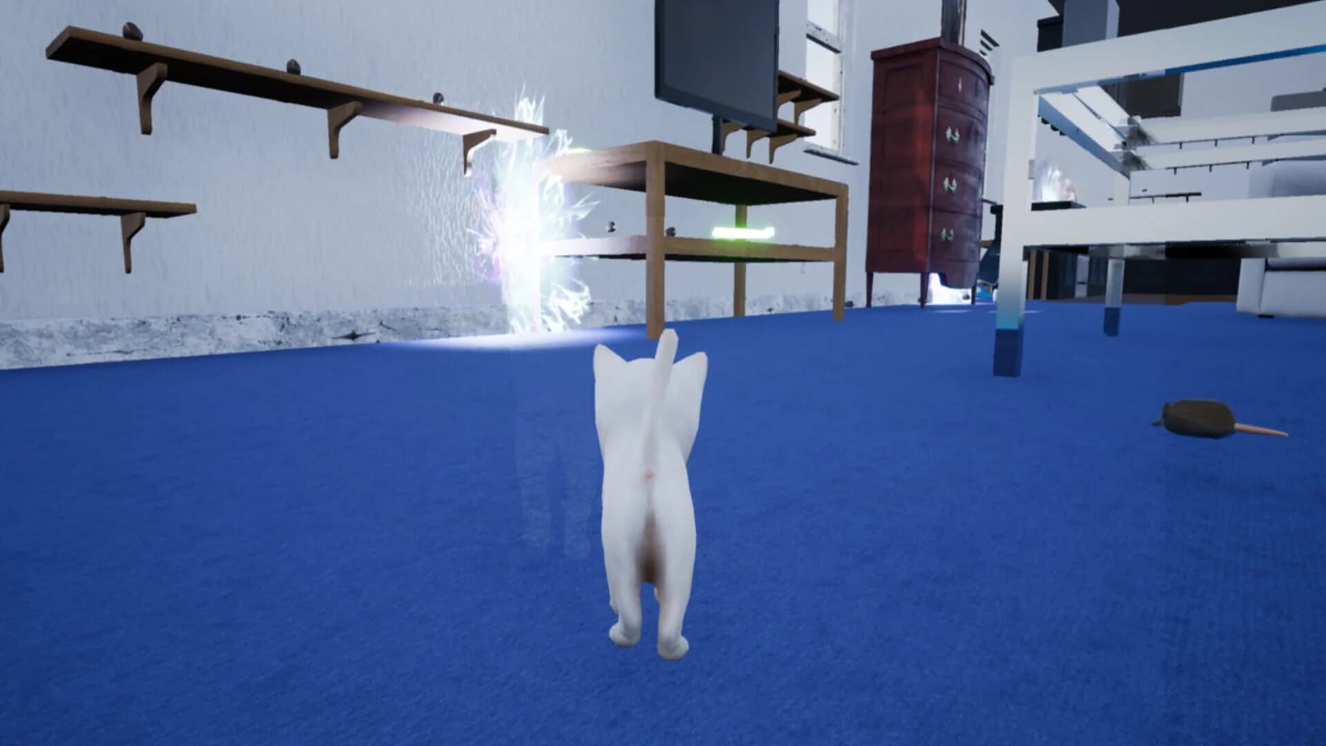 Kitten Madness screenshot 3