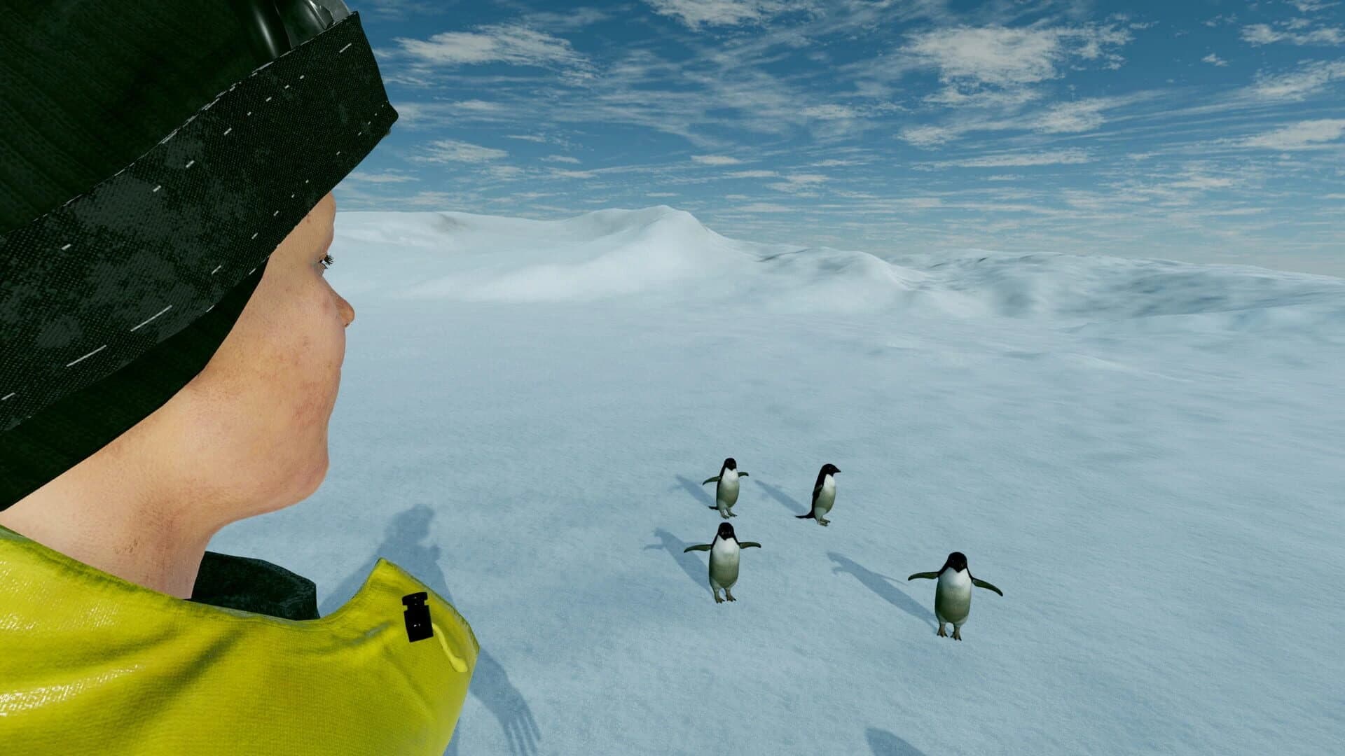 Kolb Antarctica Experience screenshot 4