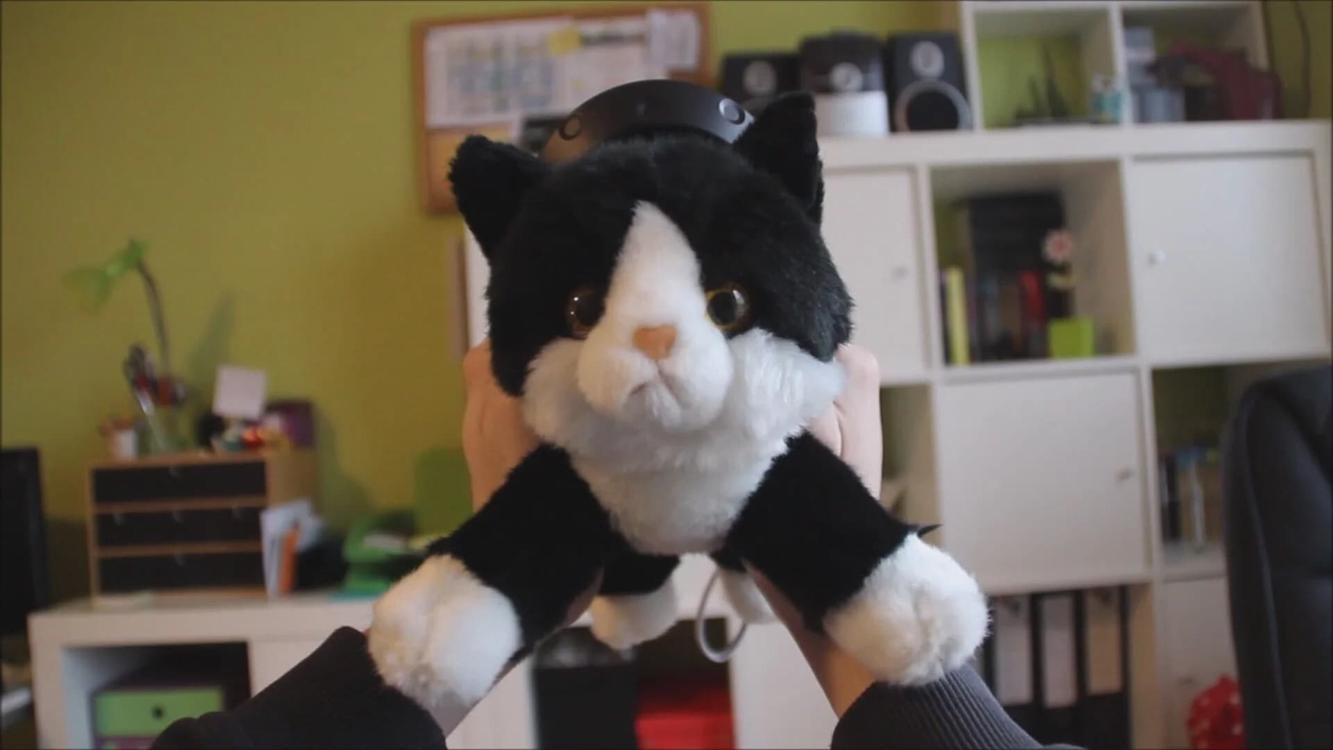 Konrad's Kittens screenshot 1