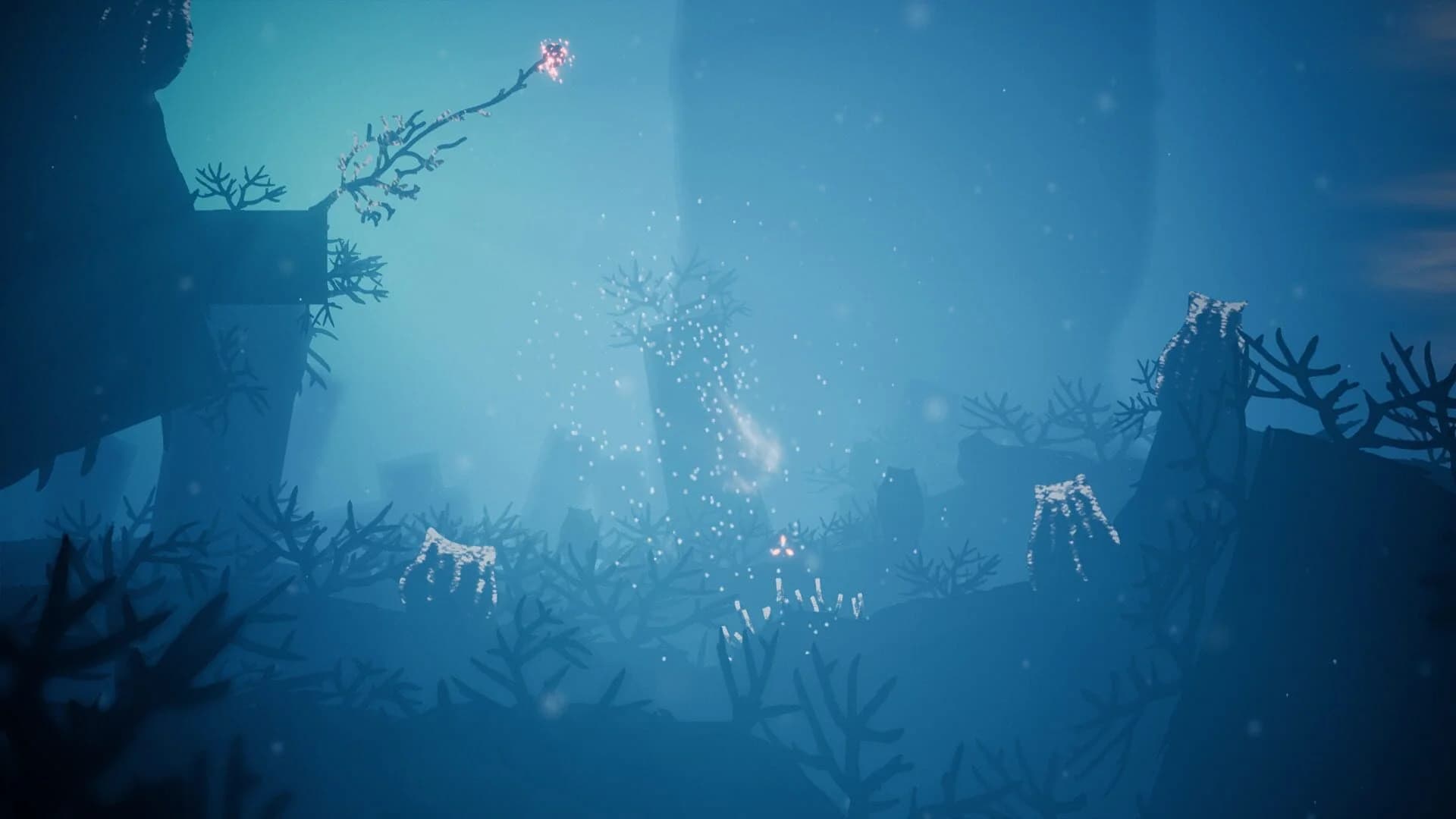 Koral screenshot 4