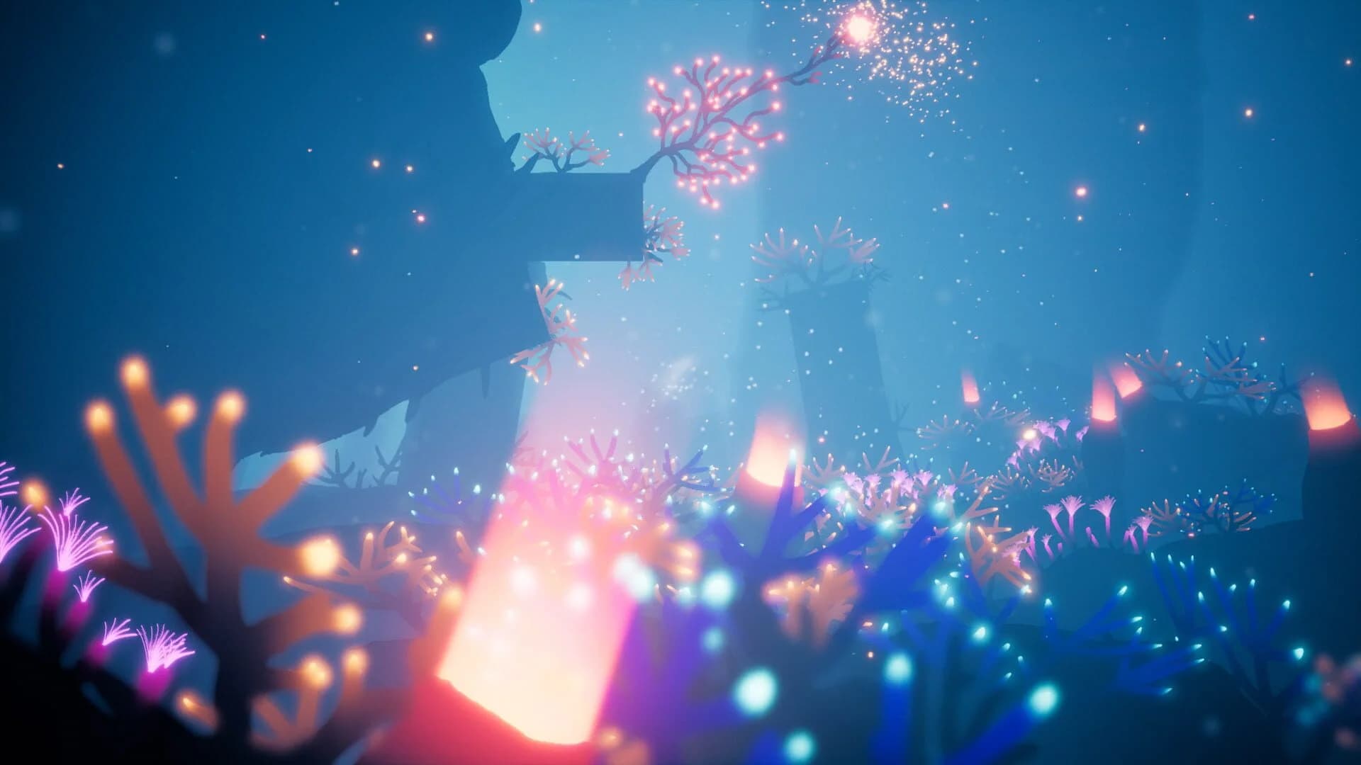 Koral screenshot 1