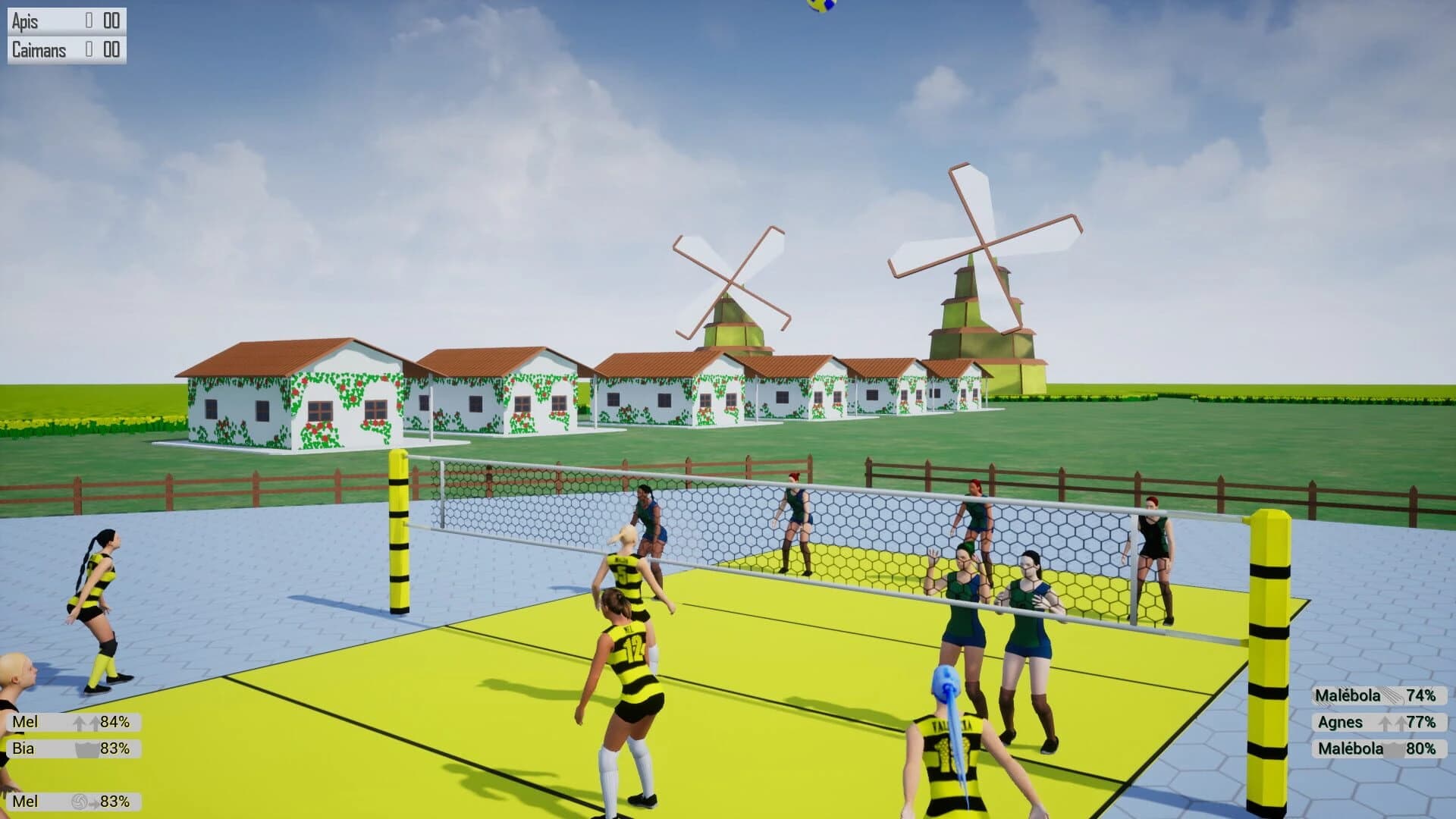 Lactea Volleyball screenshot 5