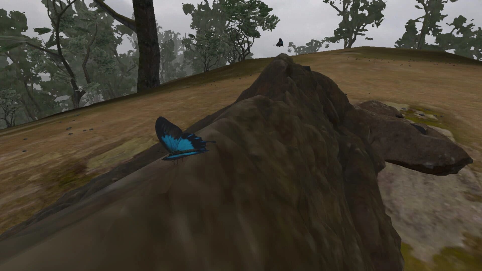 Lepidoptera screenshot 4