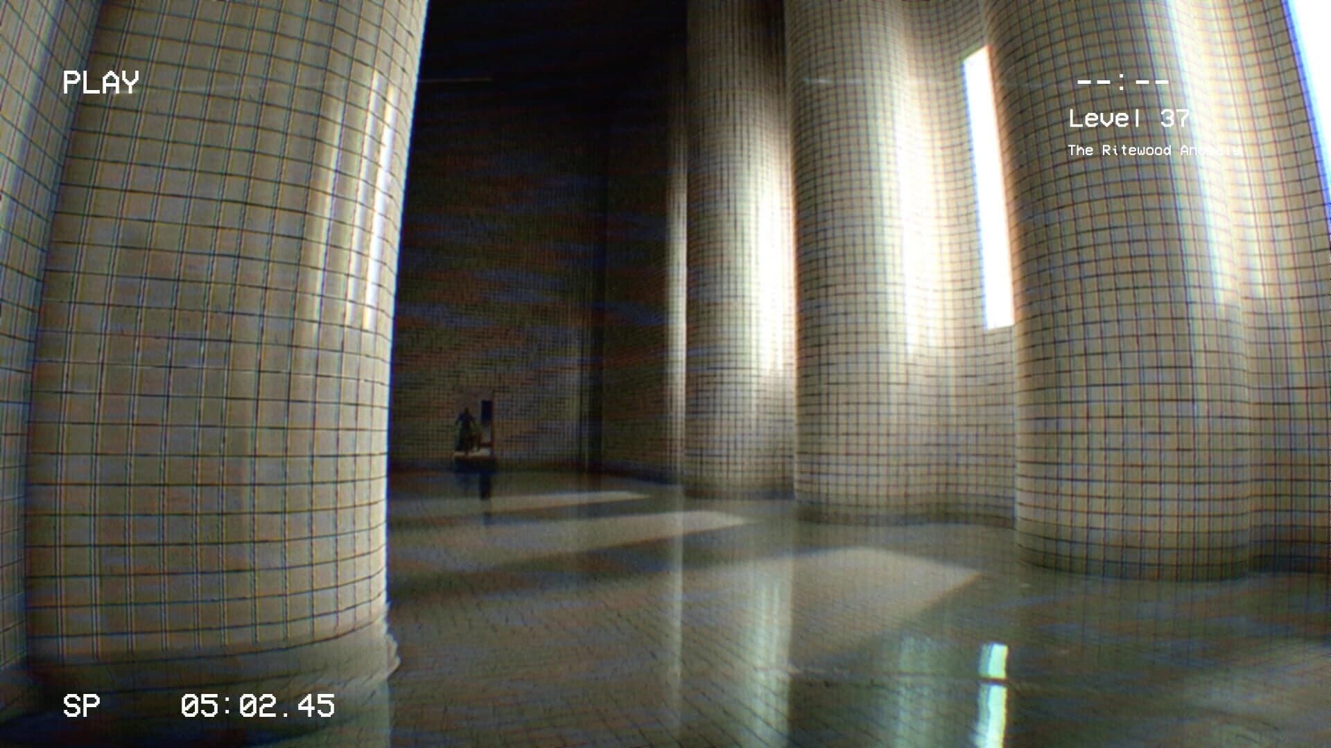 Level 37: The Ritewood Anomaly screenshot 5