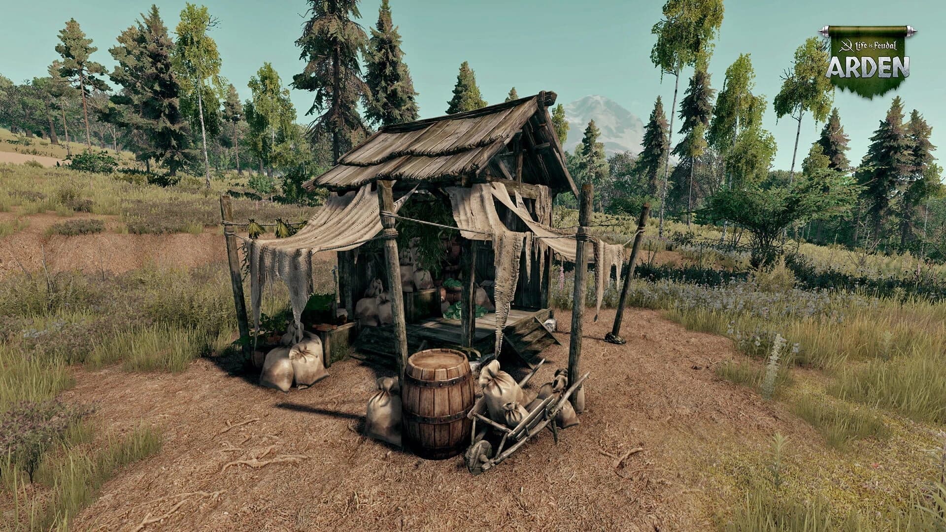 Life is Feudal: Arden screenshot 4