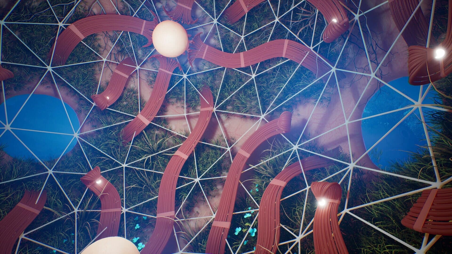 Lifecycles of the Traveler Spider screenshot 1