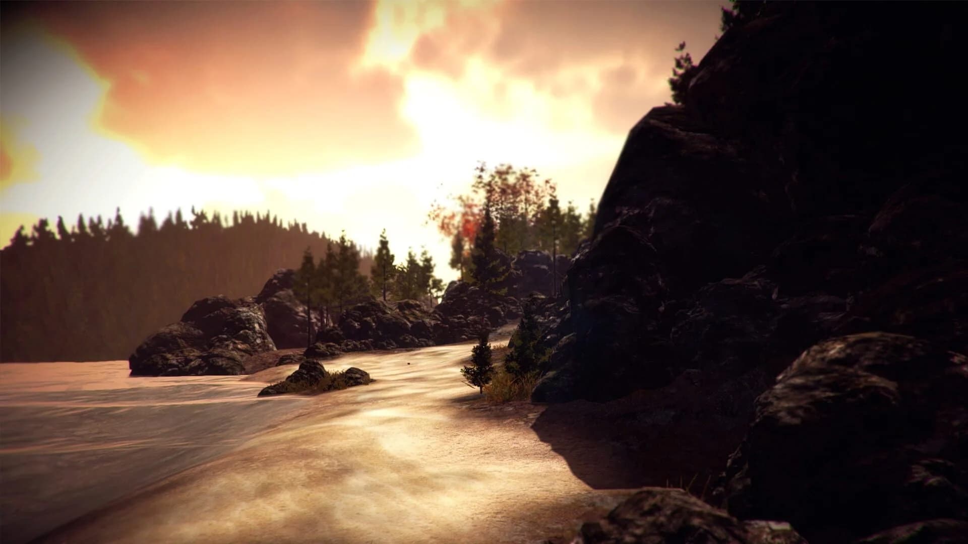 Light & Dark Bundle screenshot 5