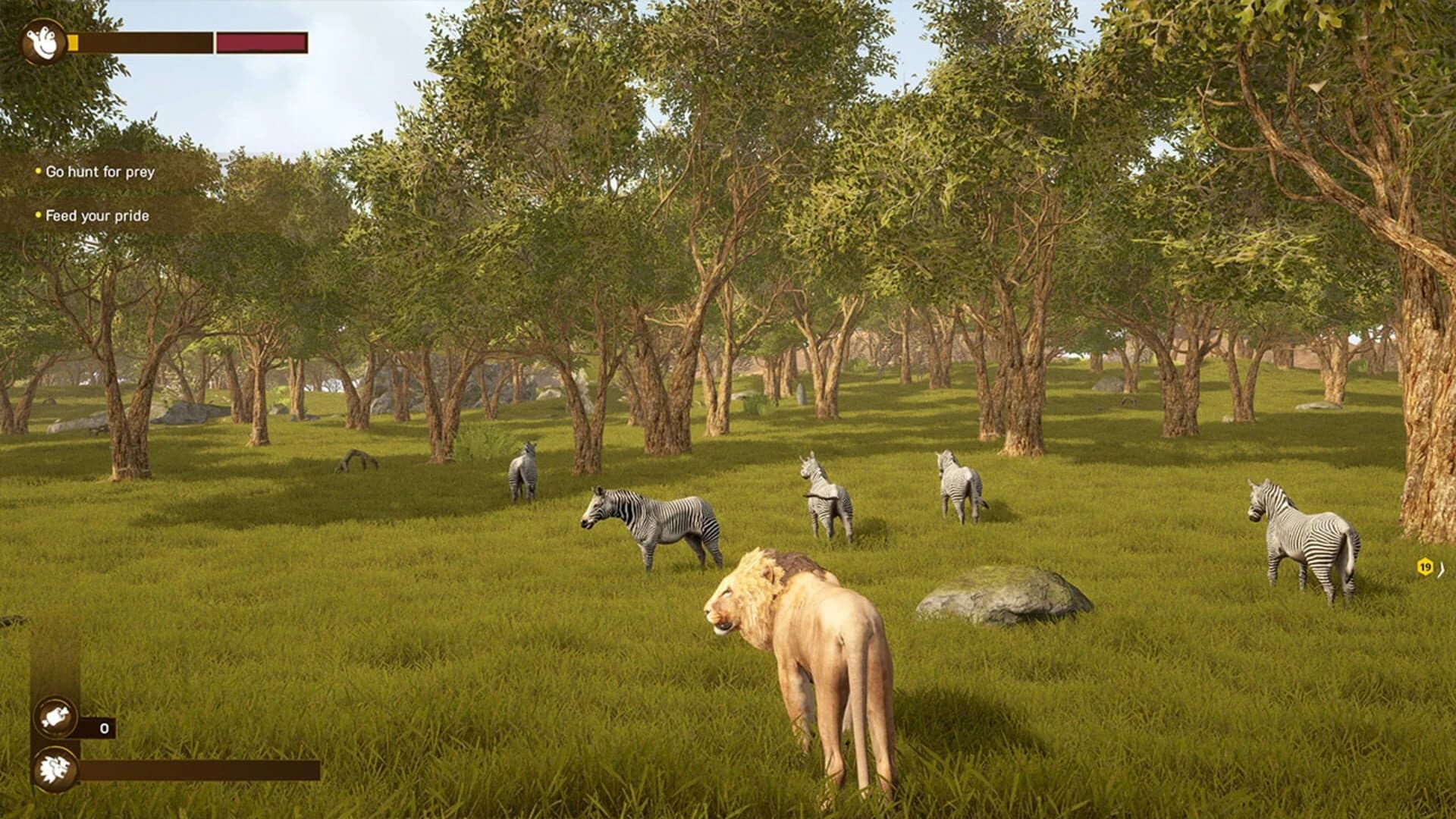 Lion Simulator RPG: Animal Battle Survive screenshot 3