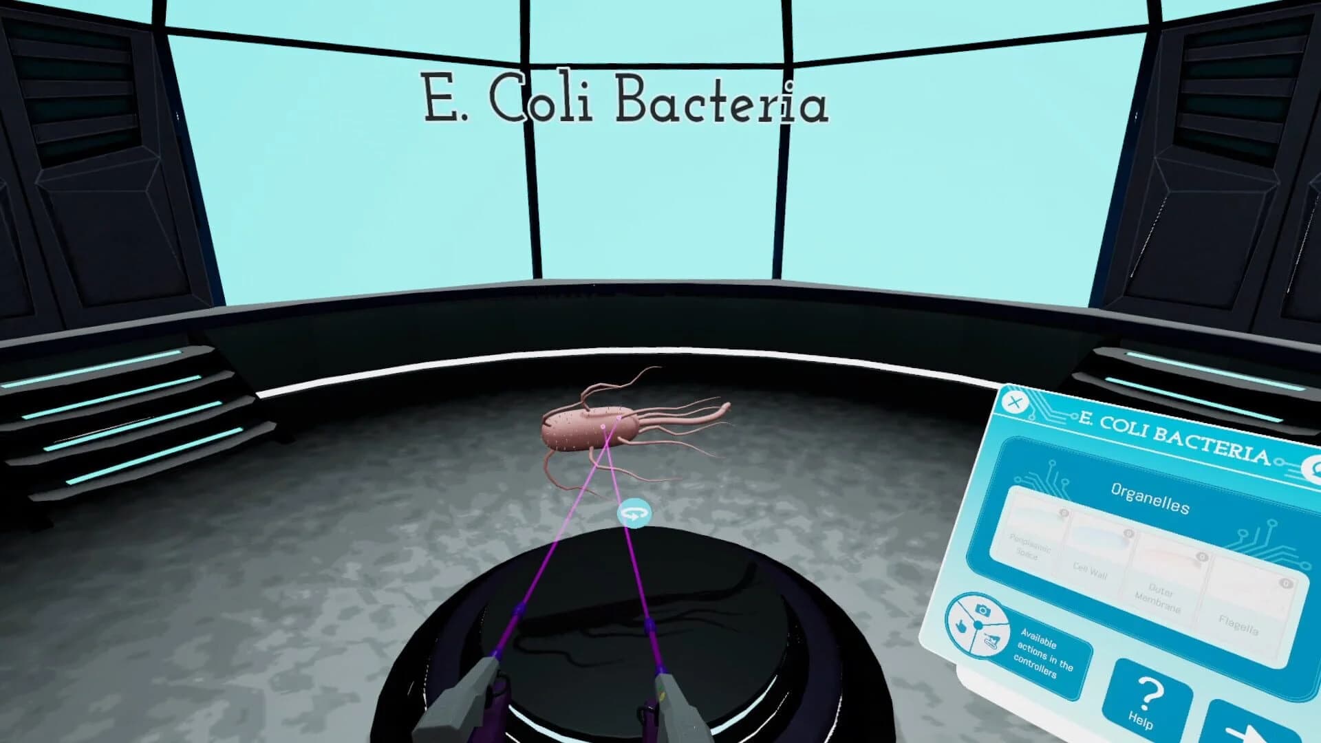 Looking Inside Cells screenshot 4