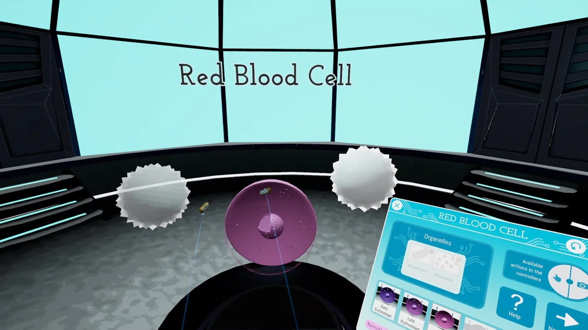 Looking Inside Cells screenshot 3
