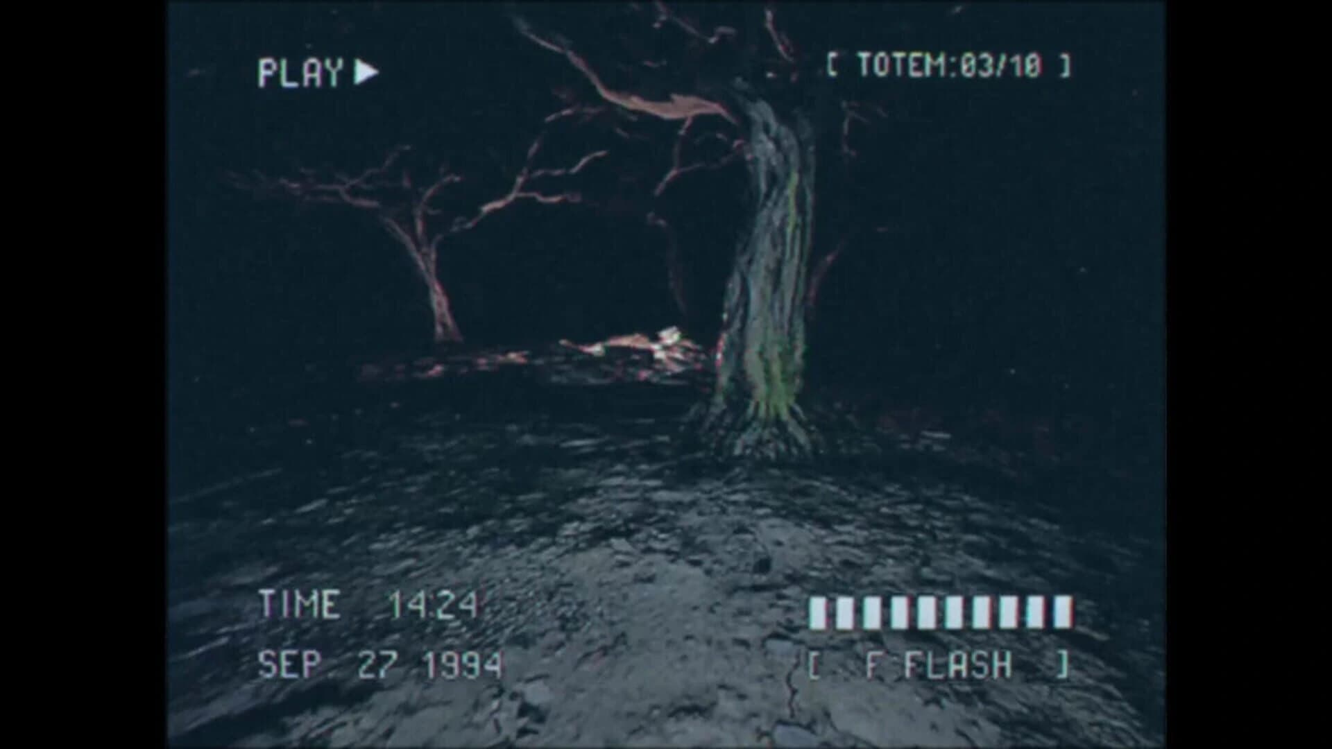 Lost Footage: Sound In The Silence screenshot 2