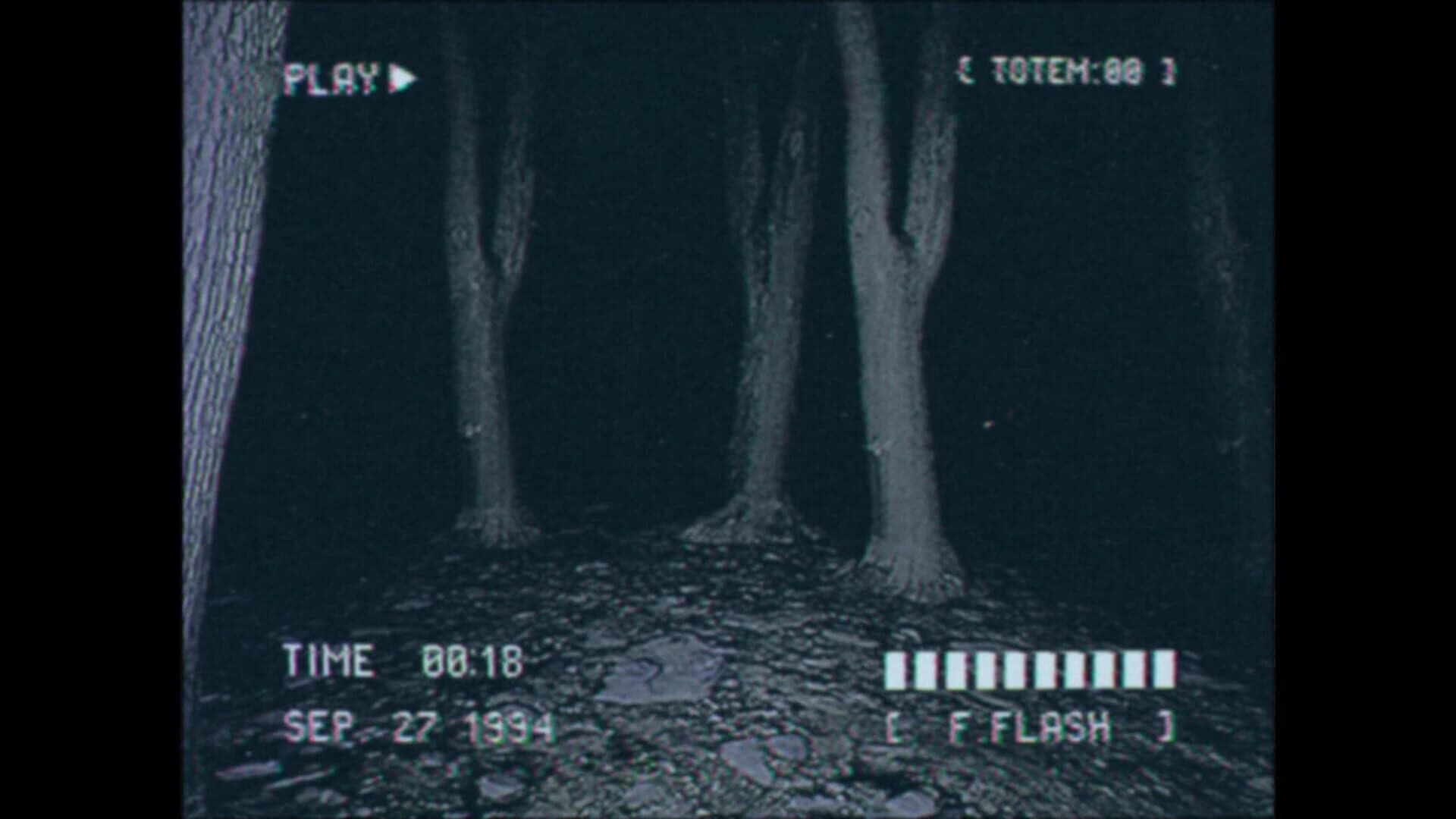 Lost Footage: Sound In The Silence screenshot 1