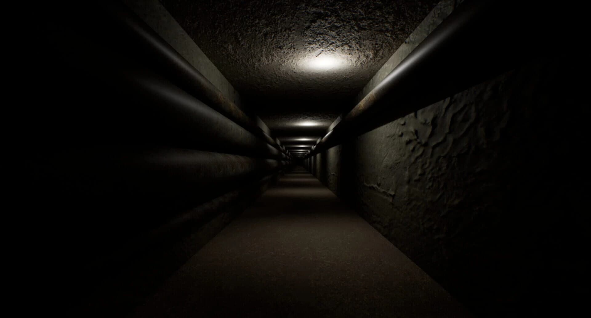 Lost in the Backrooms: Day 100 screenshot 5