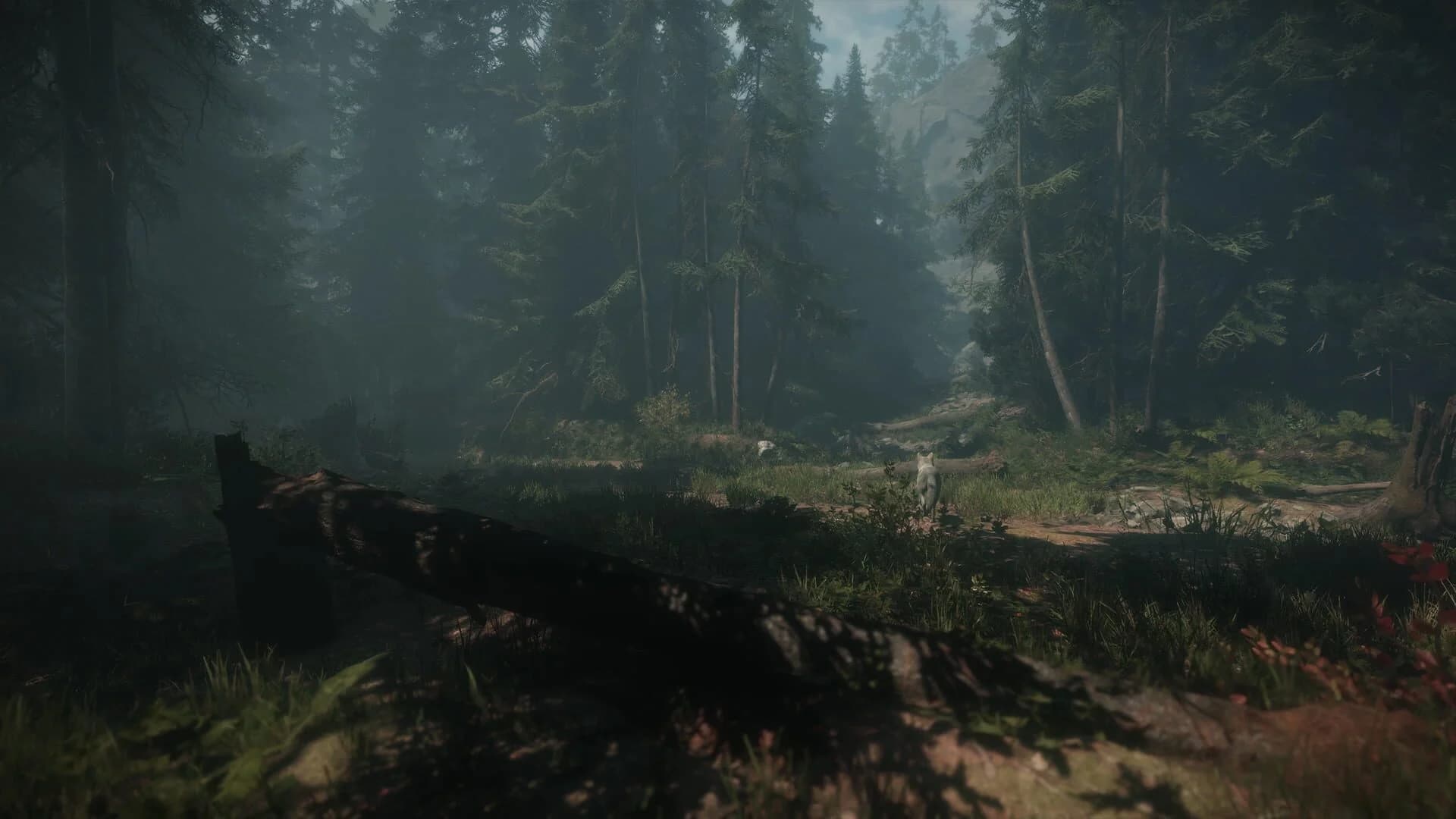 Maid of Sker screenshot 2