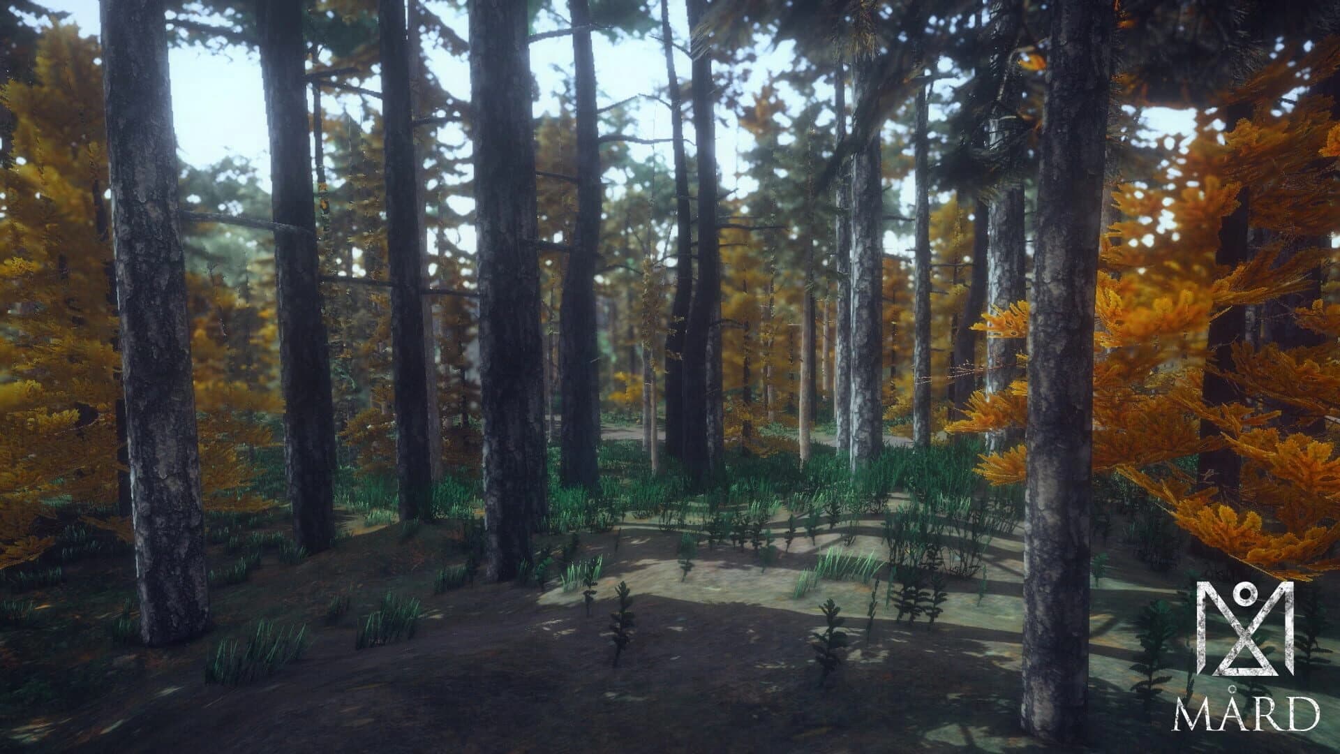 Mard screenshot 3