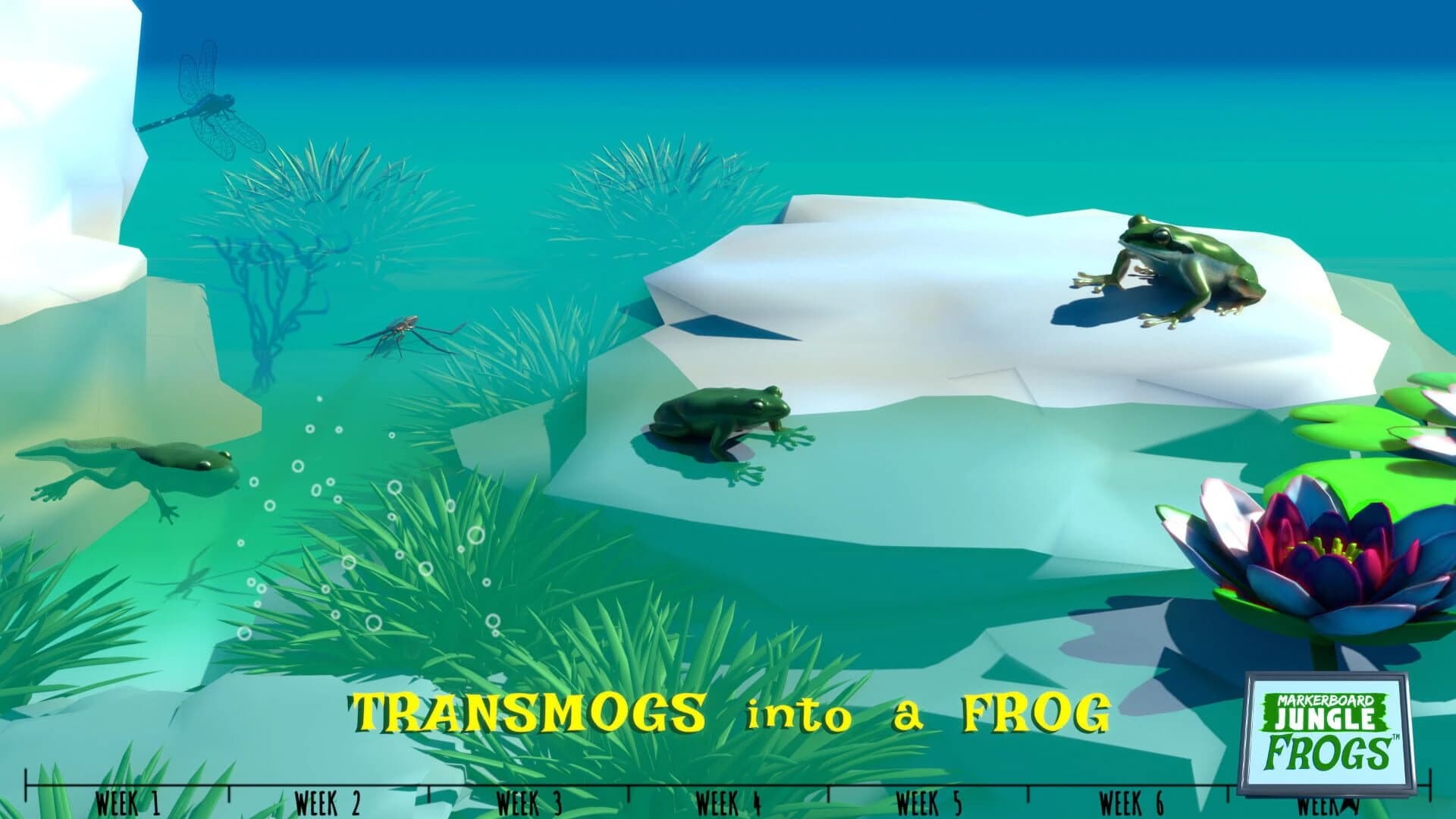 Markerboard Jungle: Frogs screenshot 4