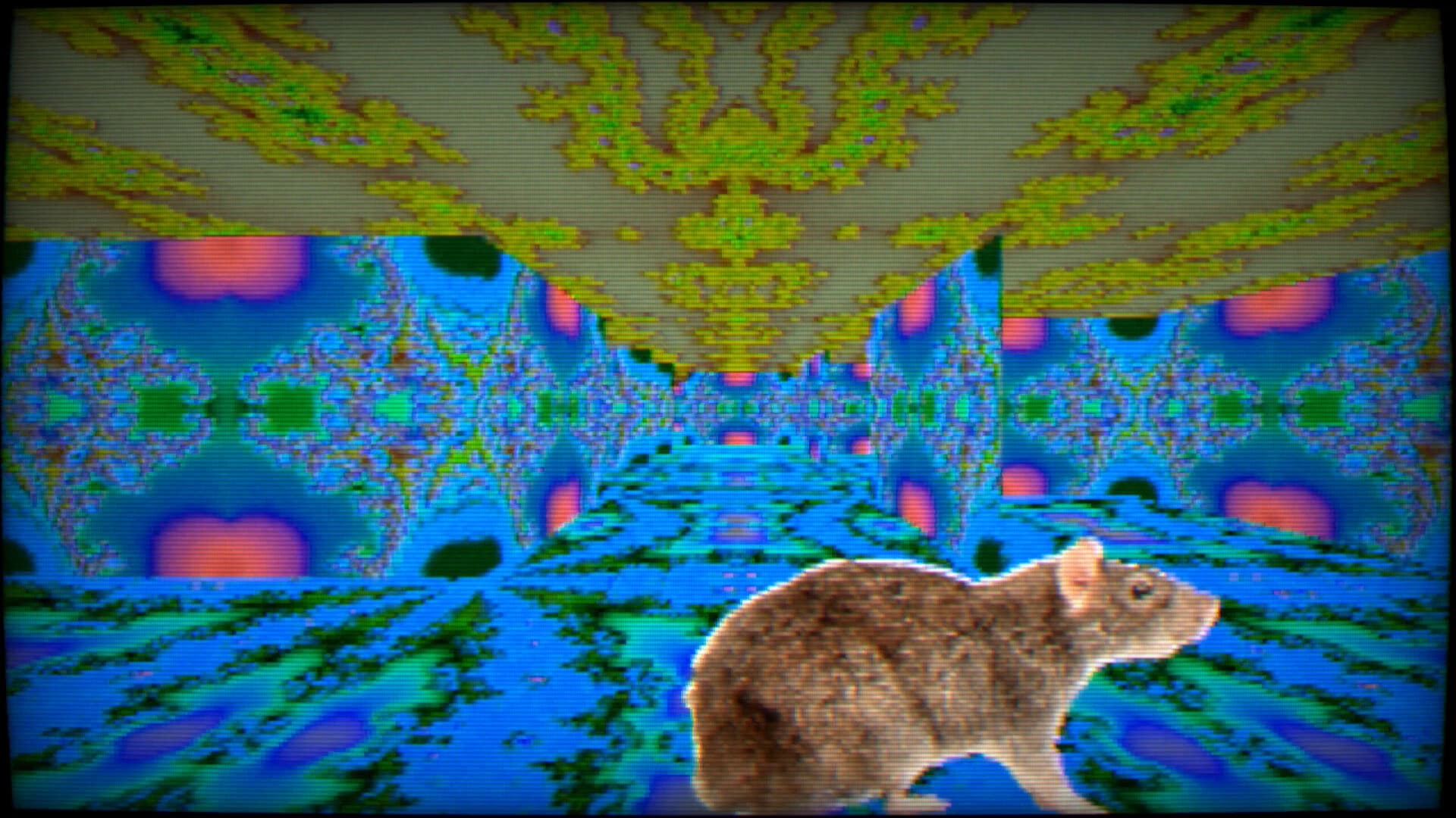 Maze 95 Ultimate screenshot 3