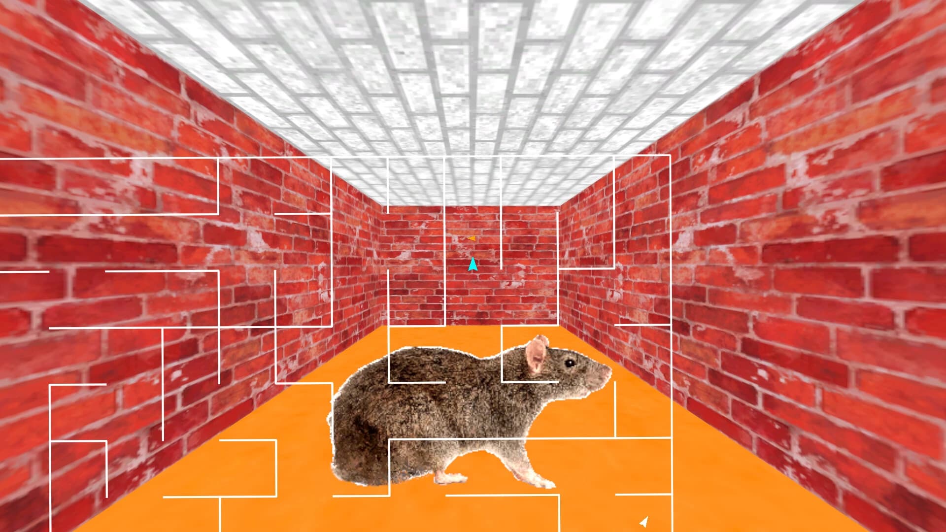 Maze 95 Ultimate screenshot 7