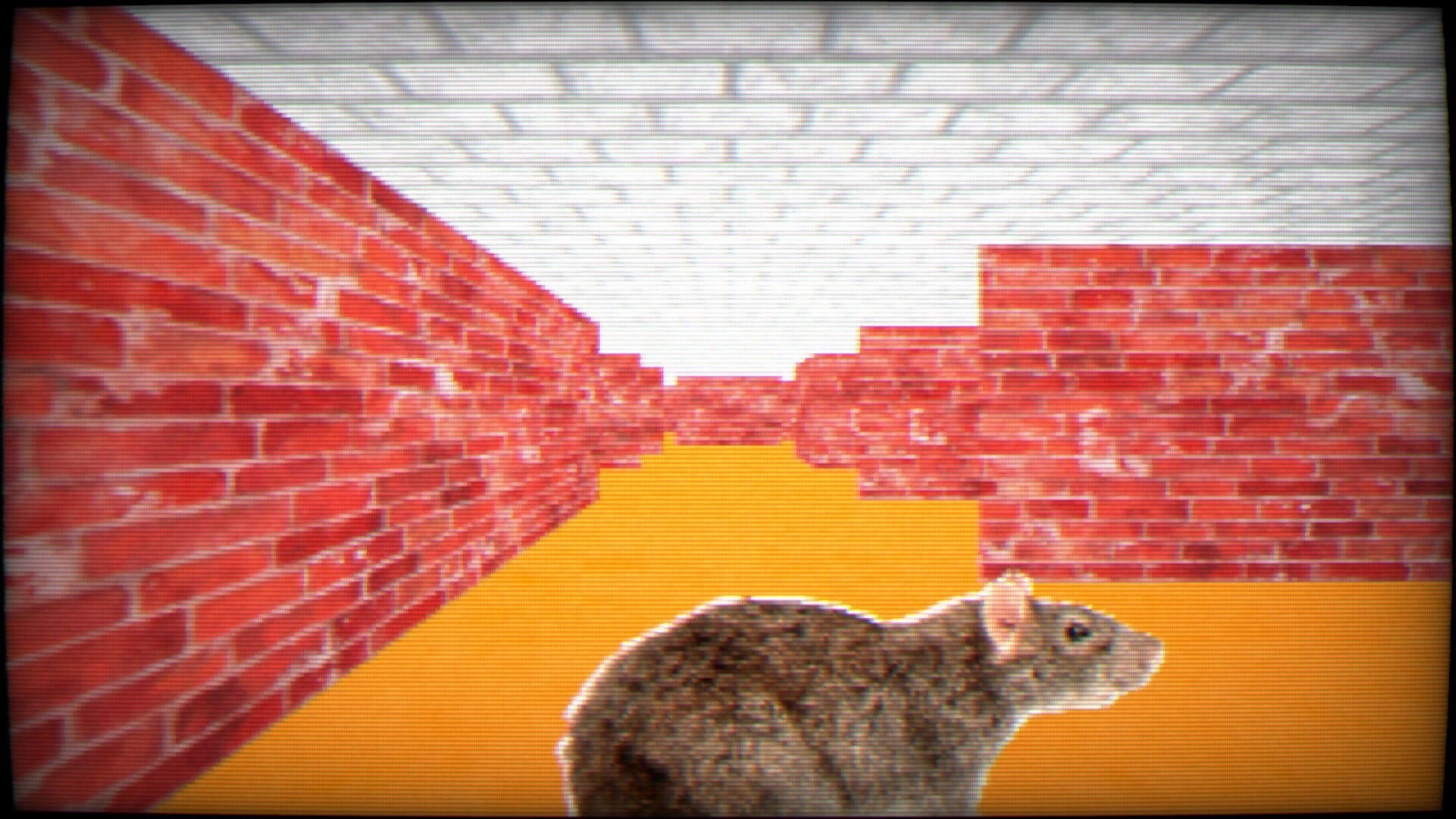 Maze 95 Ultimate screenshot 1