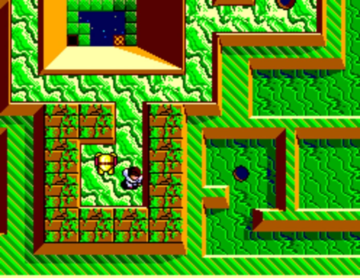 Maze Hunter 3-D screenshot 1