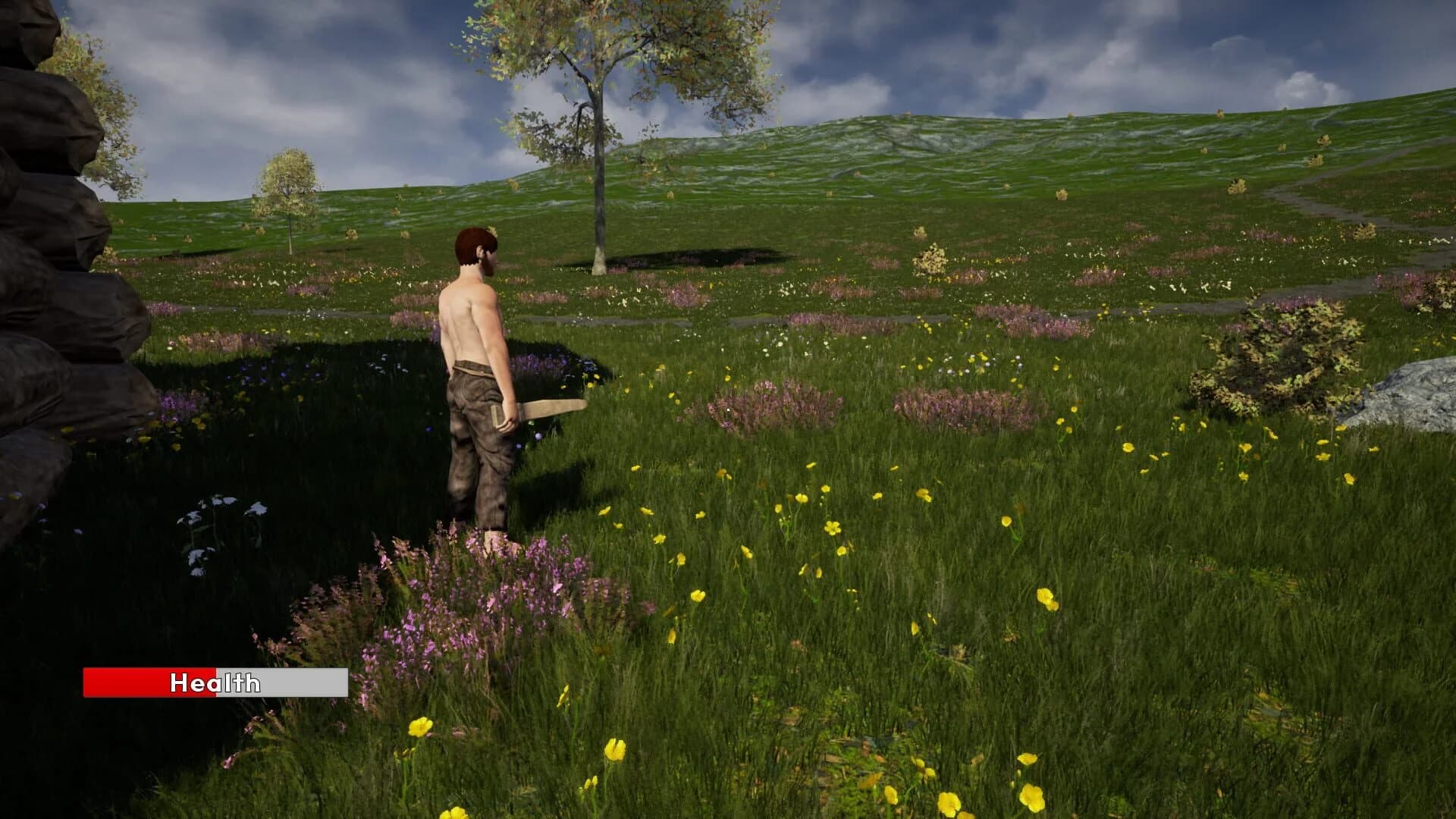 Medieval Towns screenshot 3