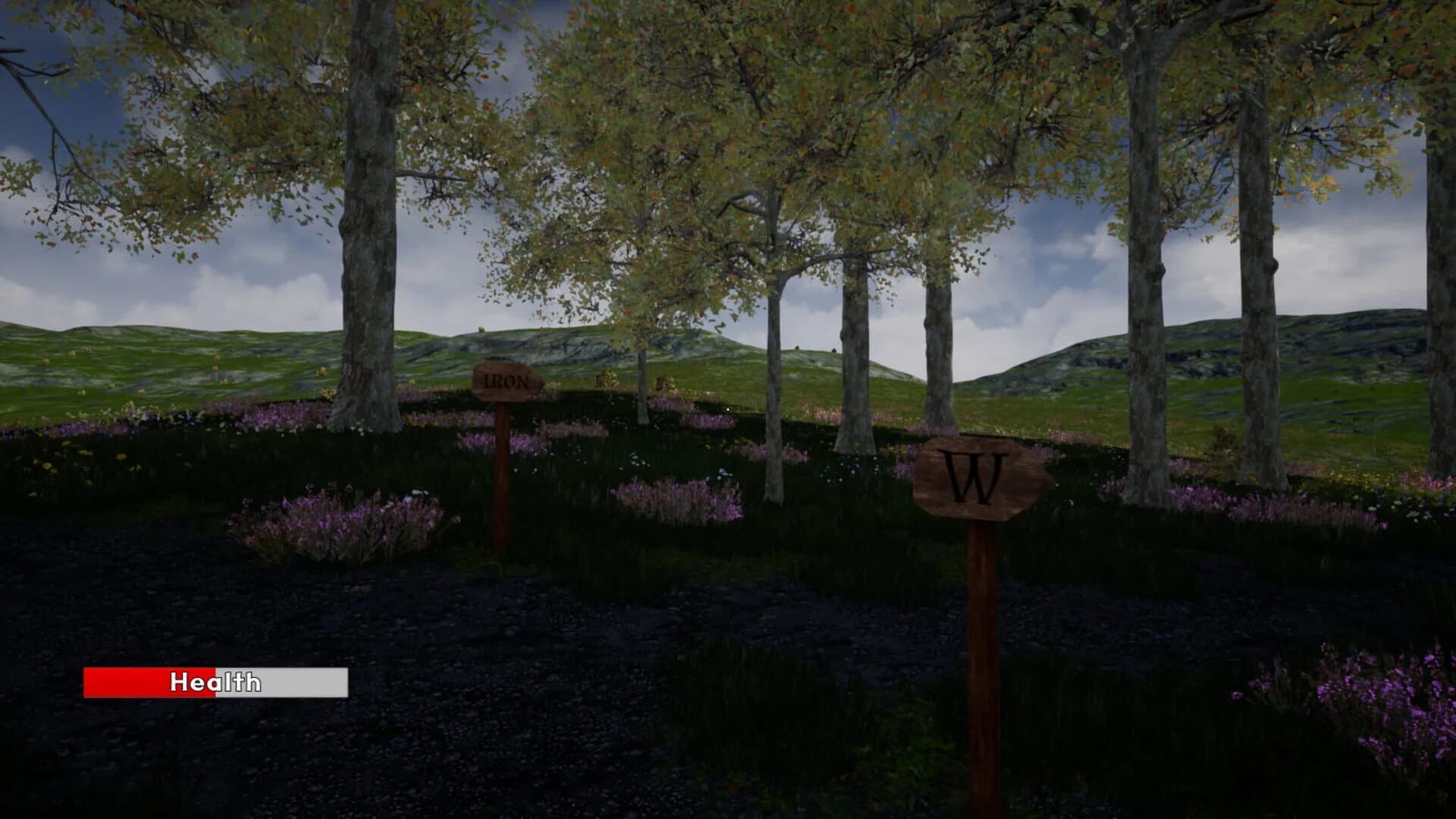 Medieval Towns screenshot 2