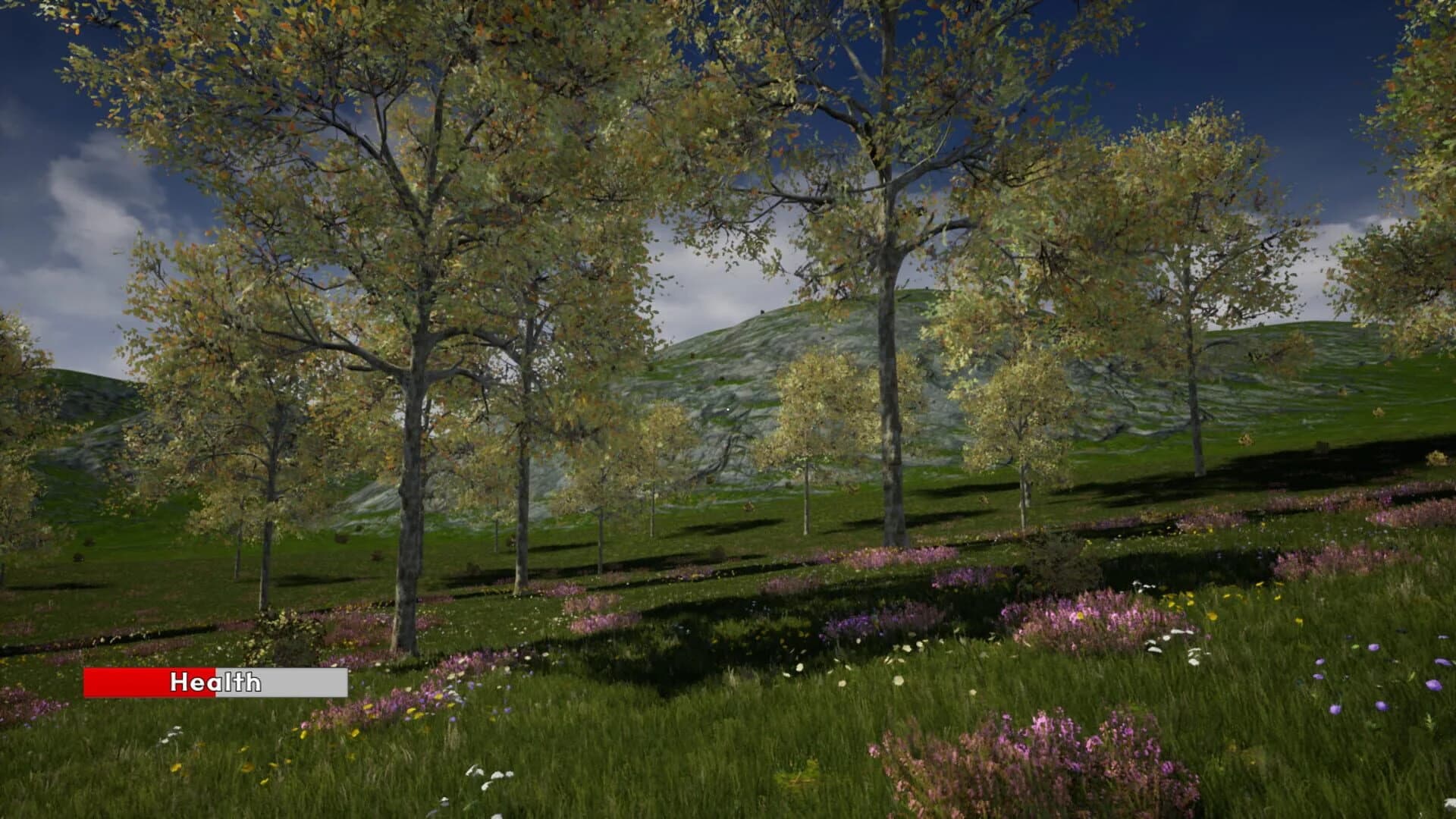 Medieval Towns screenshot 4