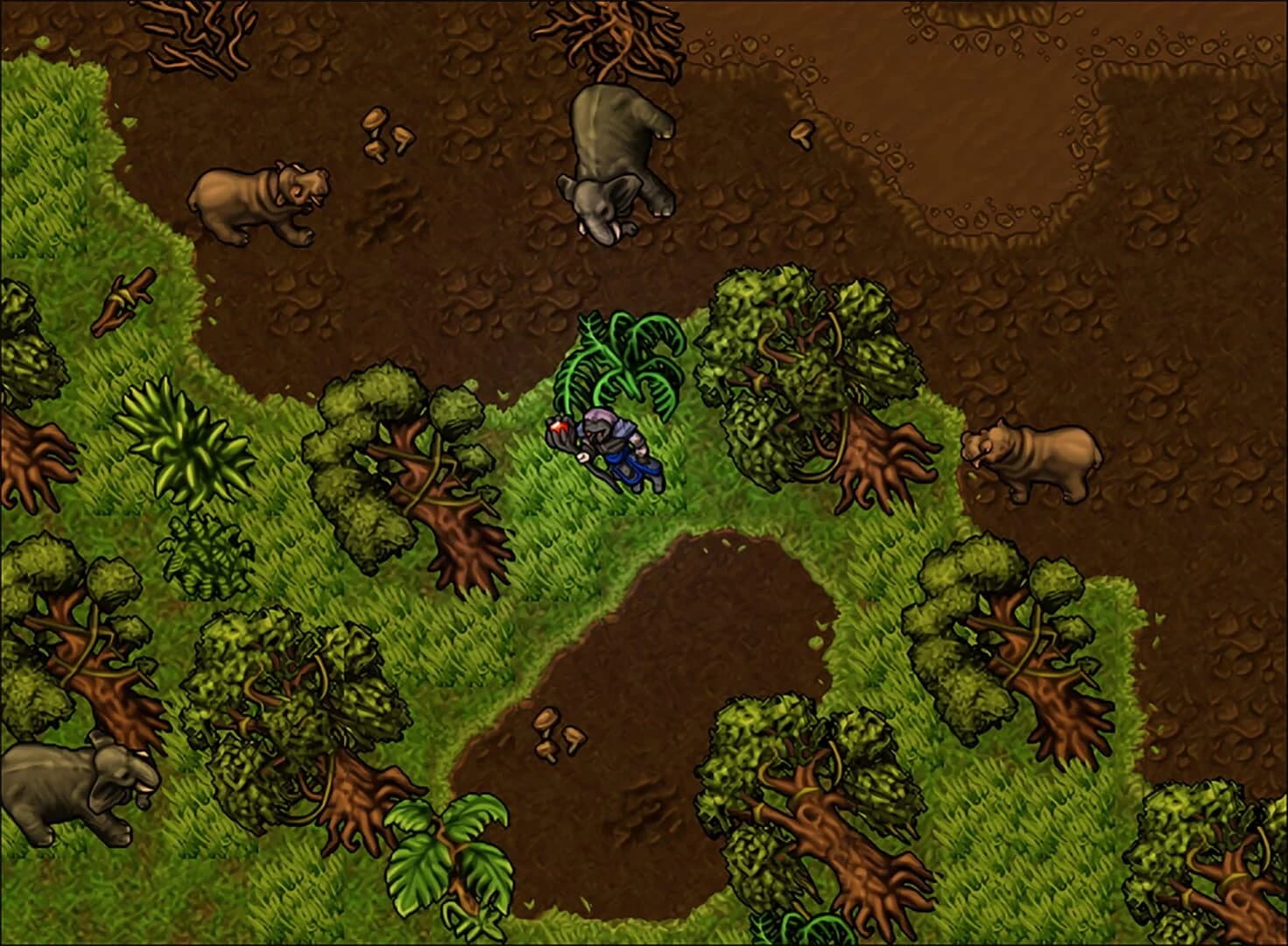 Medivia Online screenshot 1