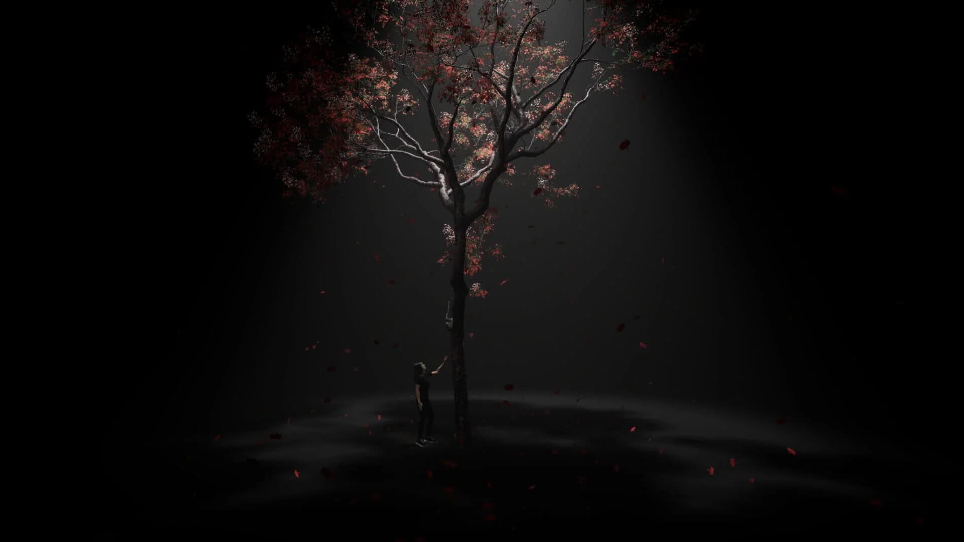 MeiQi 2024 screenshot 5