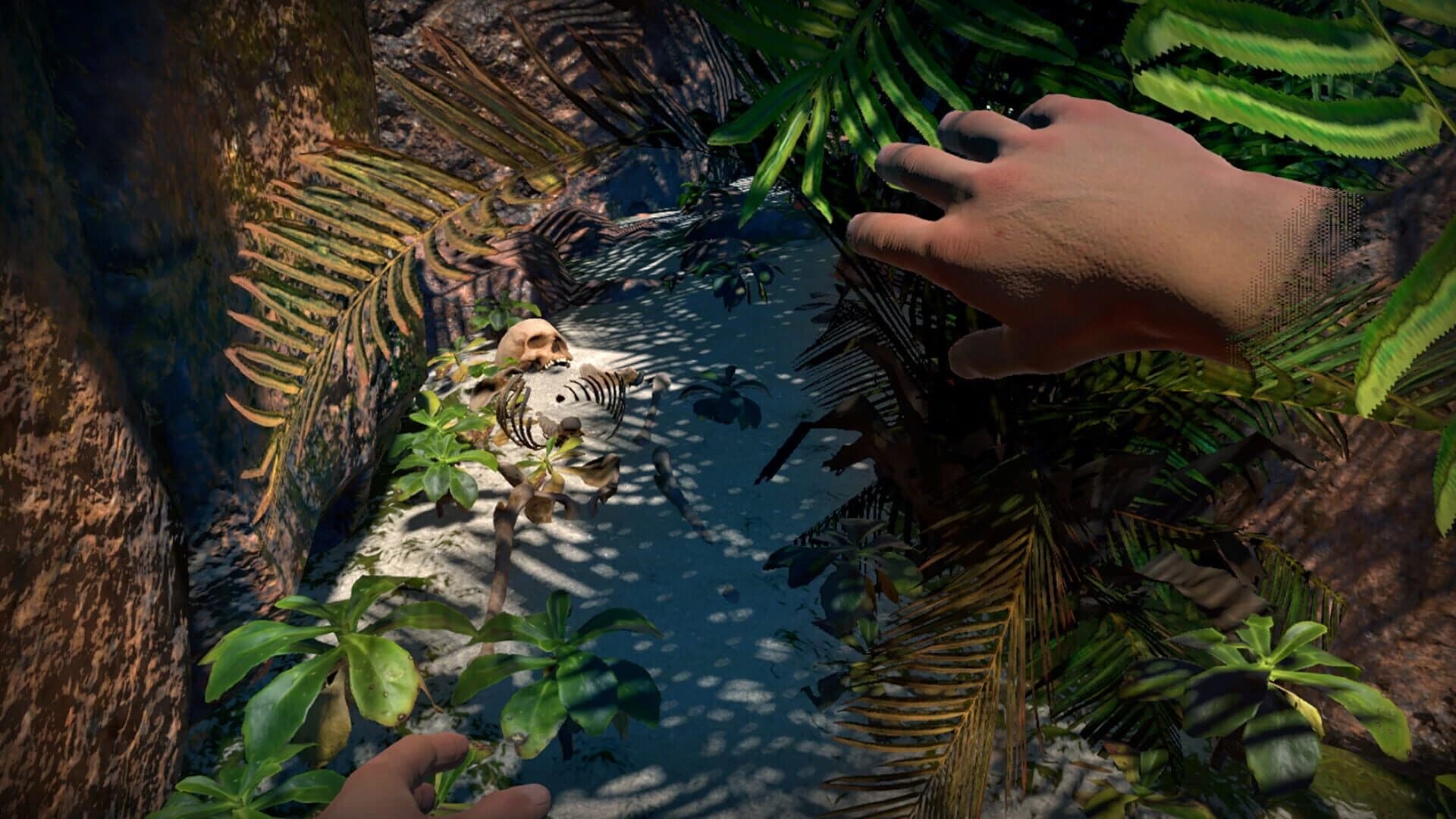 Memories From Beyond a Coral Sea screenshot 4