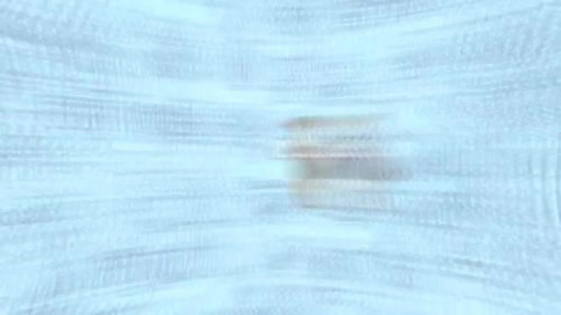 Meow Moments: Celebrating Myth & Machine screenshot 1