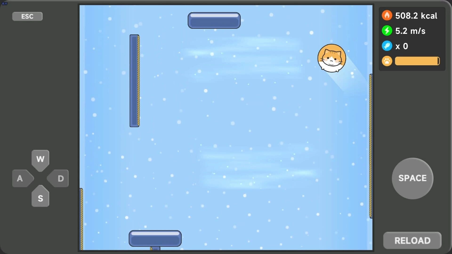 Meow Weight Loss Diary screenshot 5
