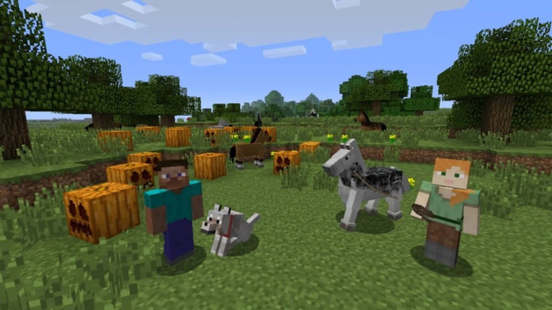 Minecraft: Wii U Edition screenshot 2