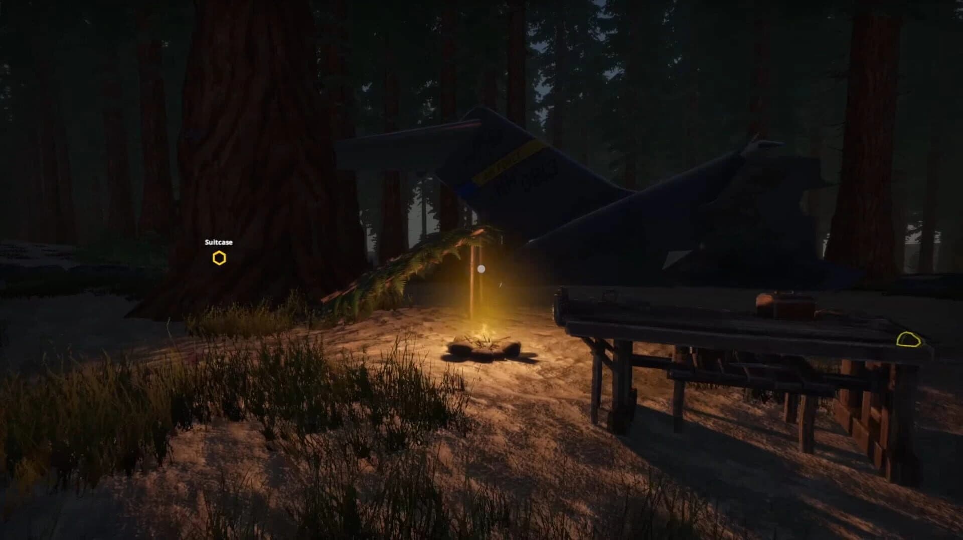 Missing Plane: Survival screenshot 1