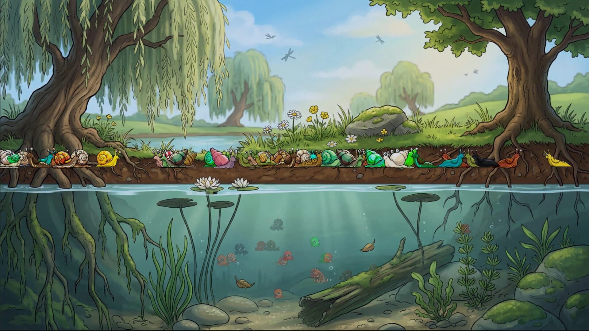 Molluscarium screenshot 3