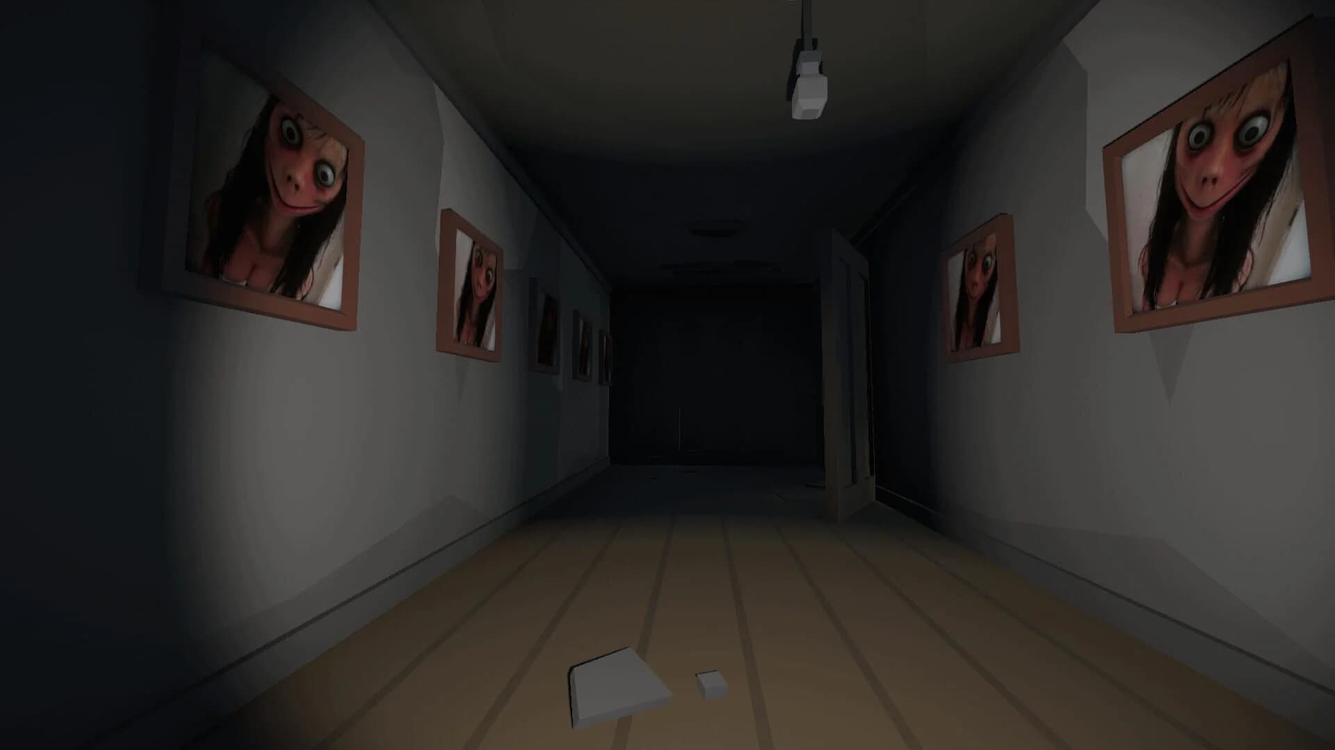 Momo.exe screenshot 4