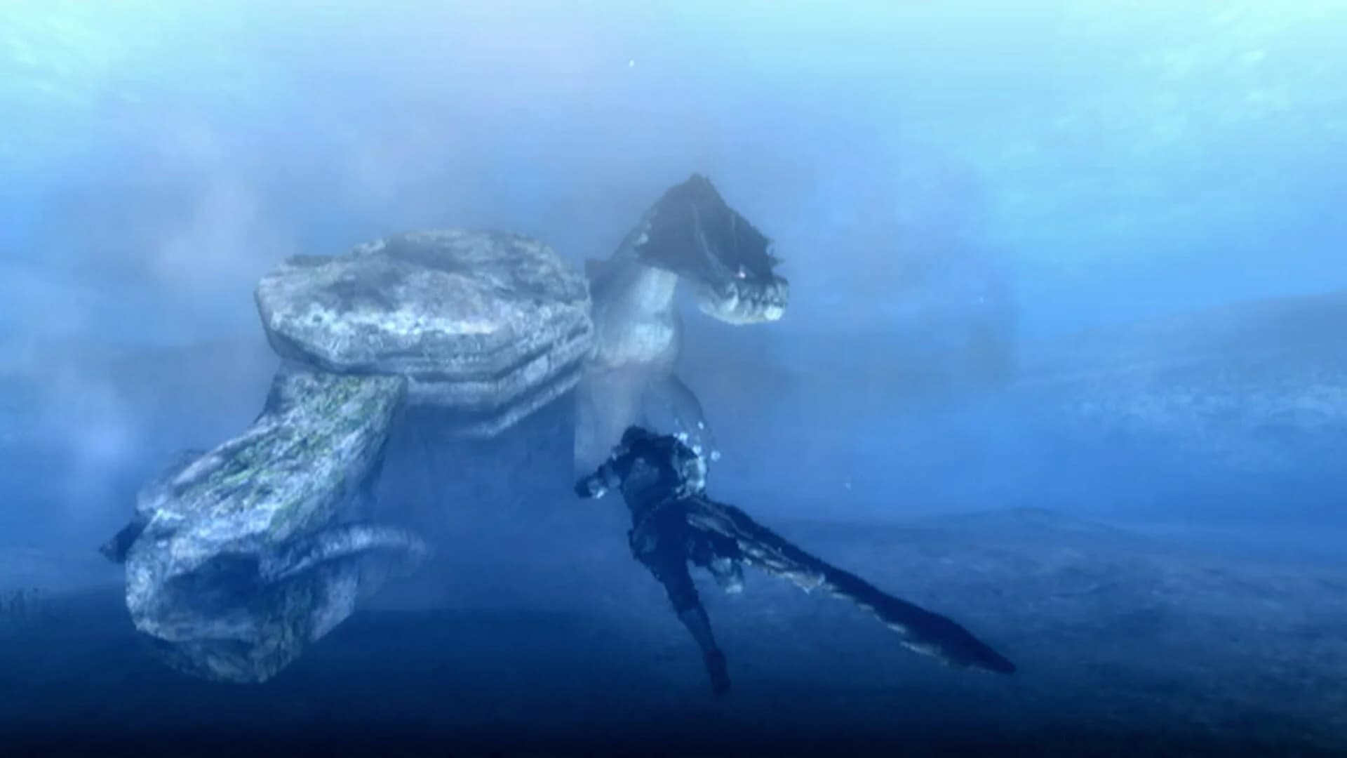 Monster Hunter Tri screenshot 3