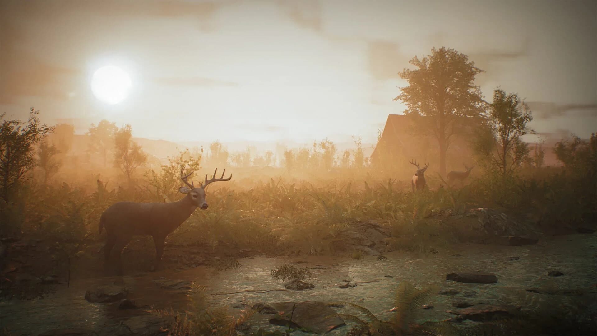 Morels: The Hunt screenshot 4