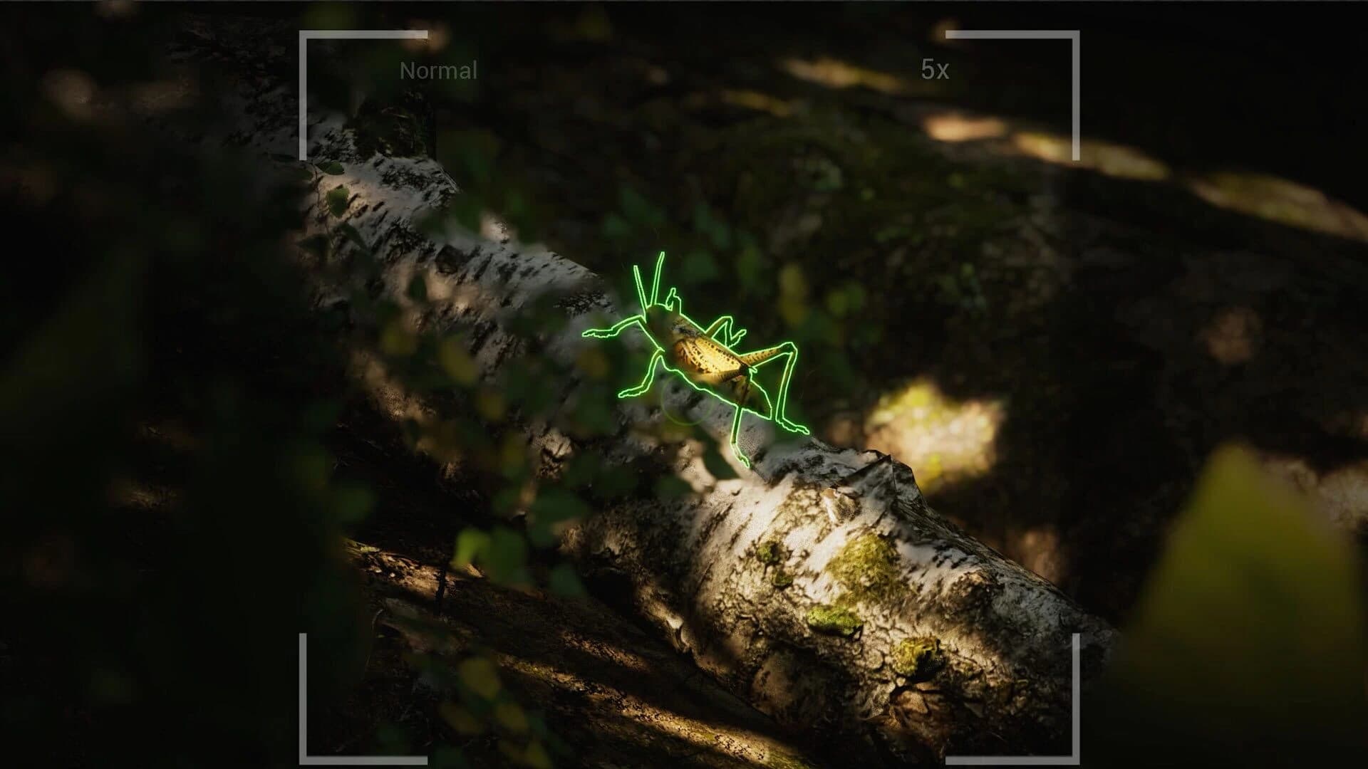 Morels: The Hunt 2 screenshot 4