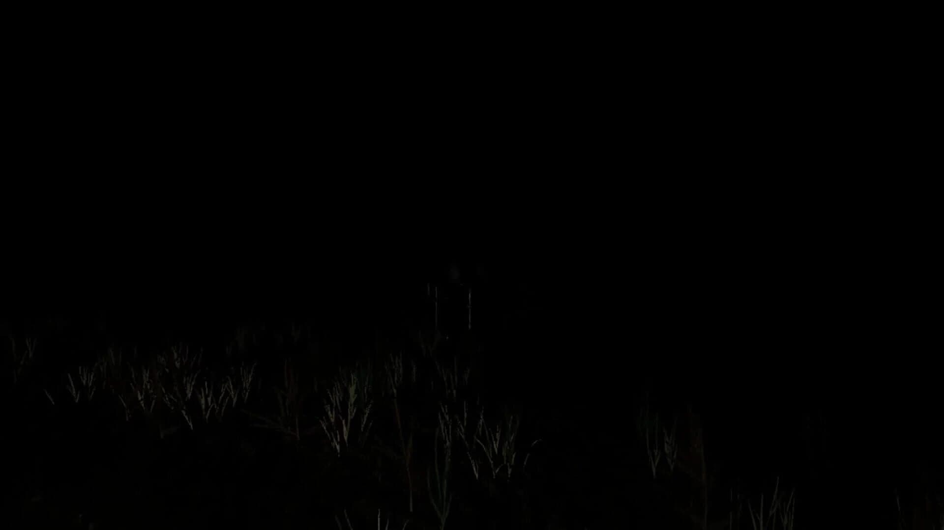 Mountain's Memory screenshot 3