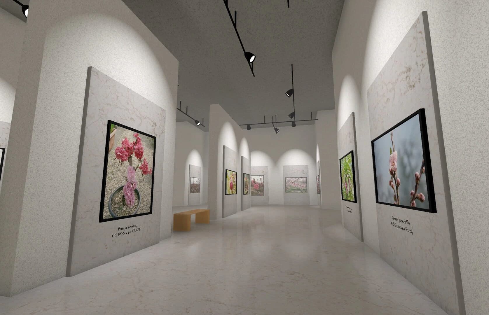 Museum of All Things screenshot 5