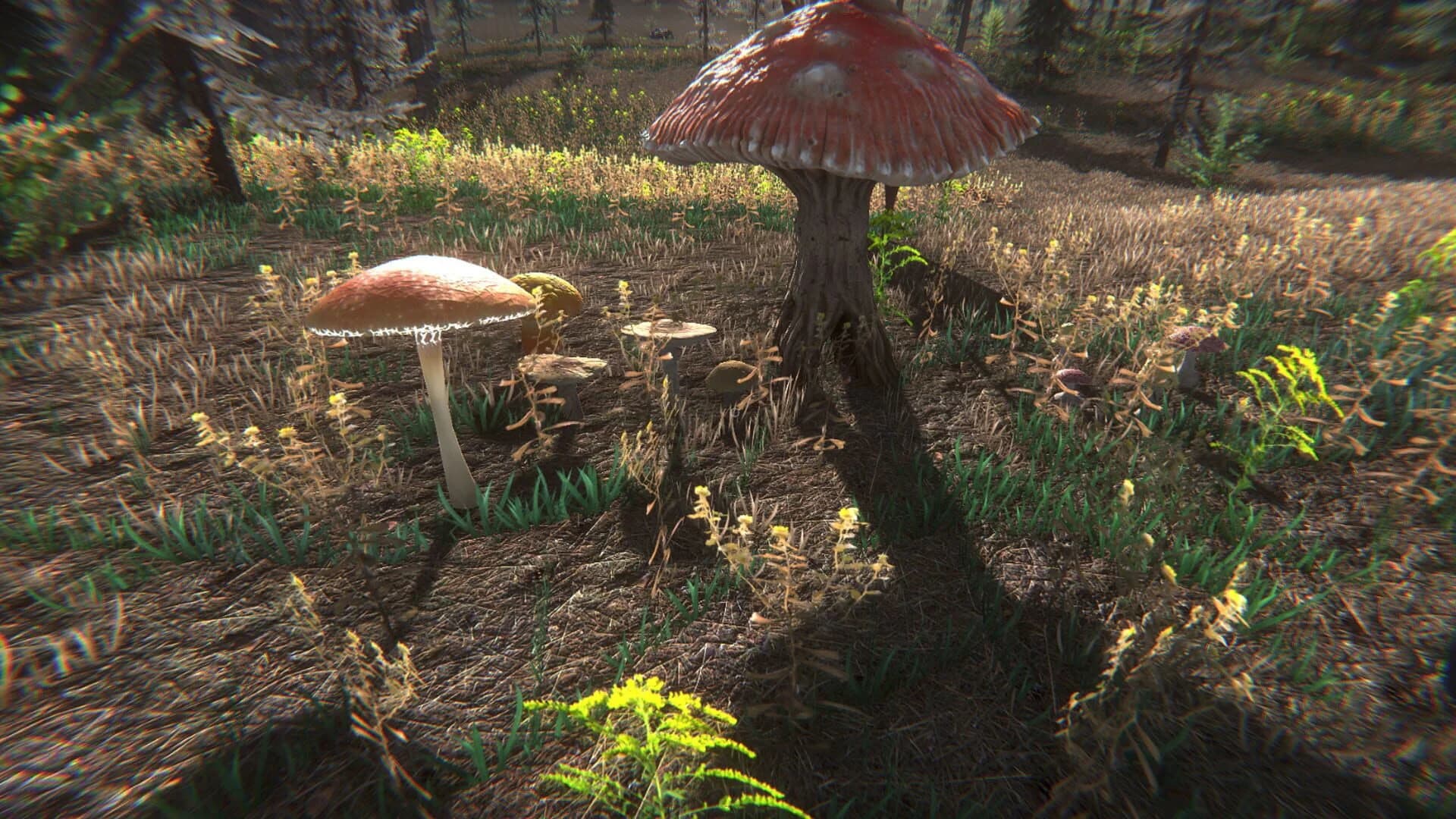 Mushroom Challenge screenshot 3