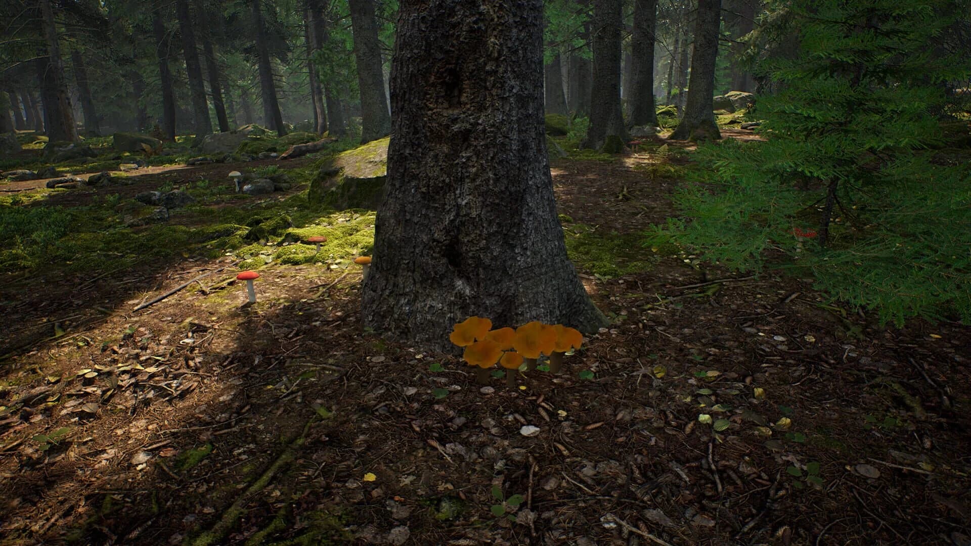 Mushroom Hunter Simulator screenshot 4