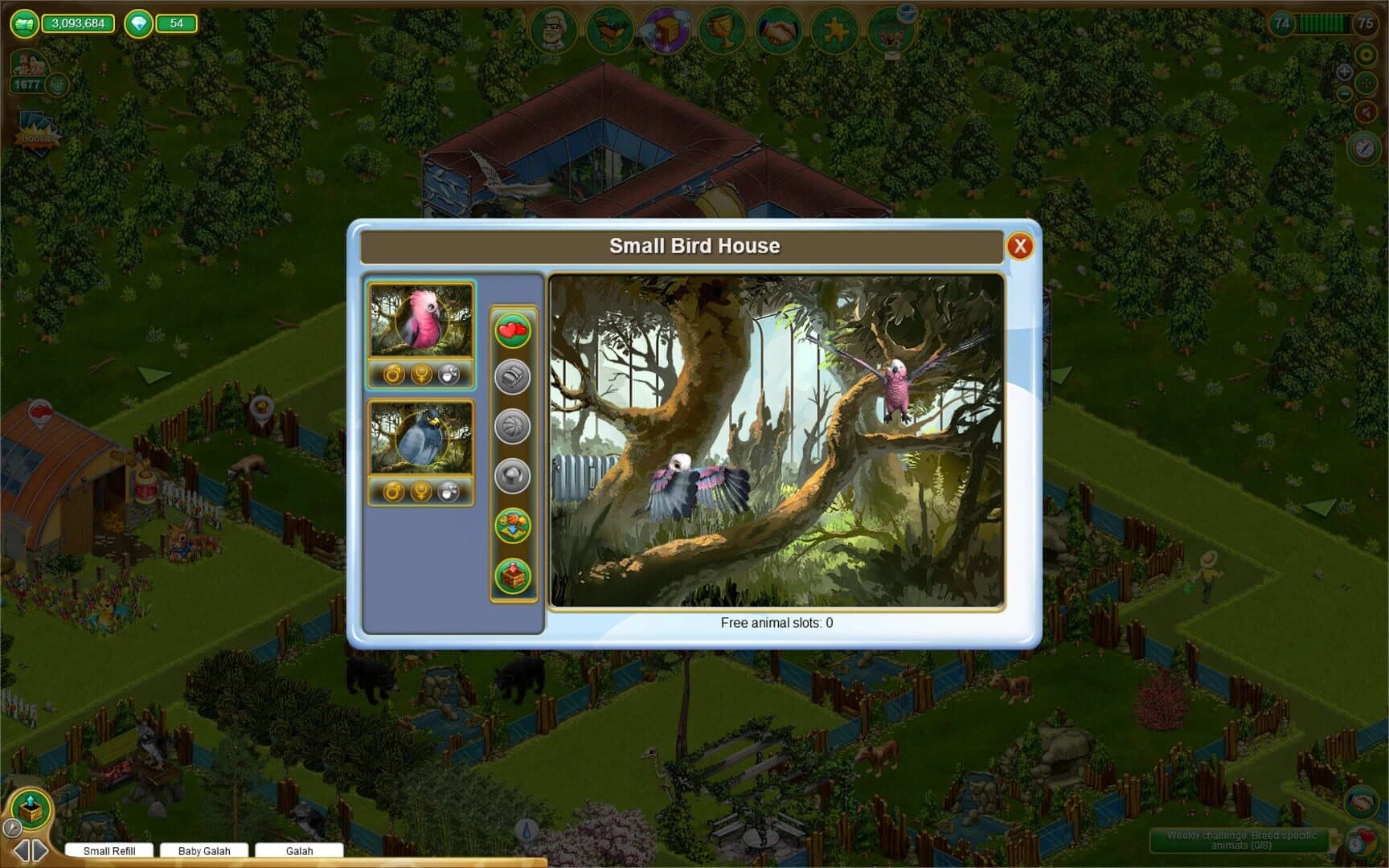 My Free Zoo screenshot 4
