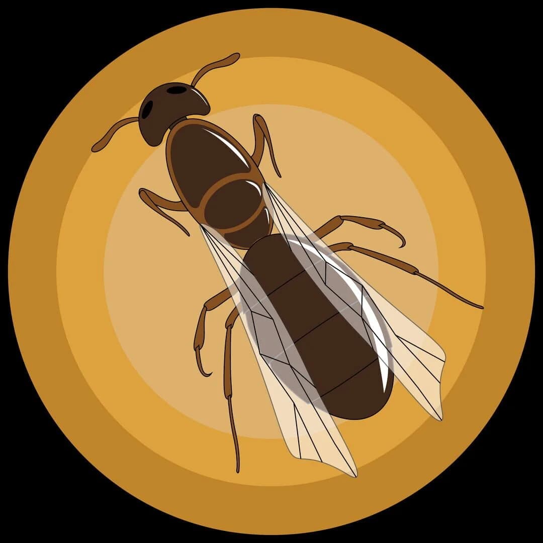 My Little Colony screenshot 1