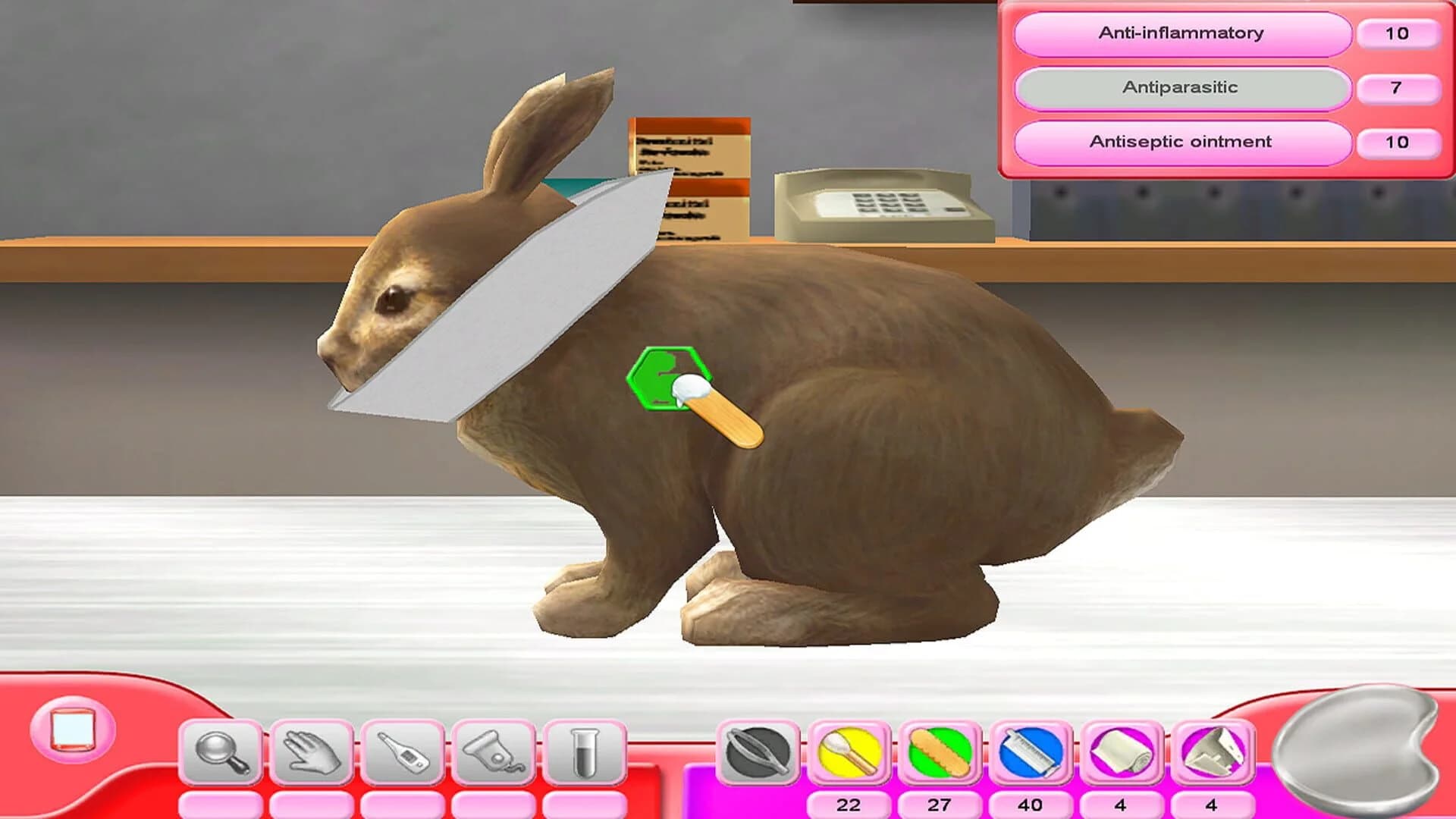 My Vet Practice: In the Country screenshot 2