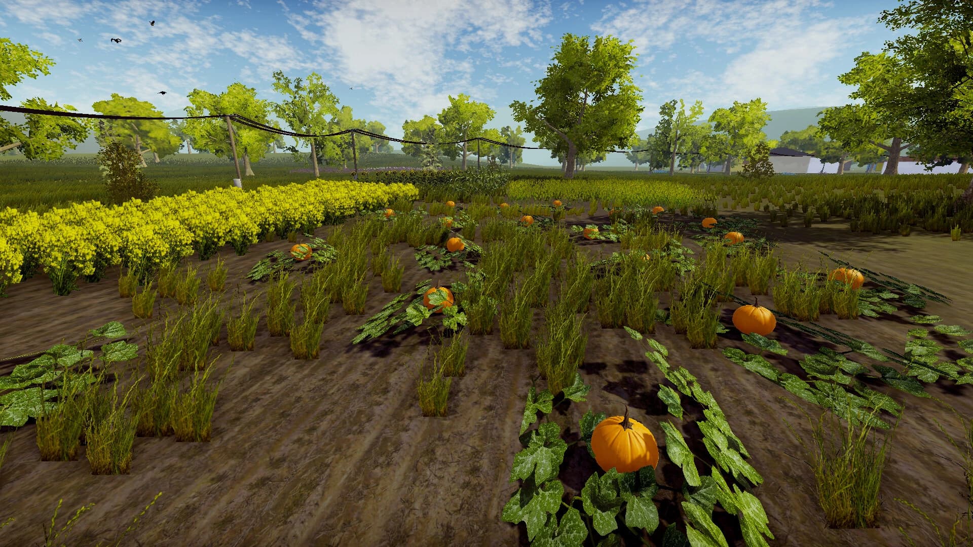 My Village Life screenshot 6